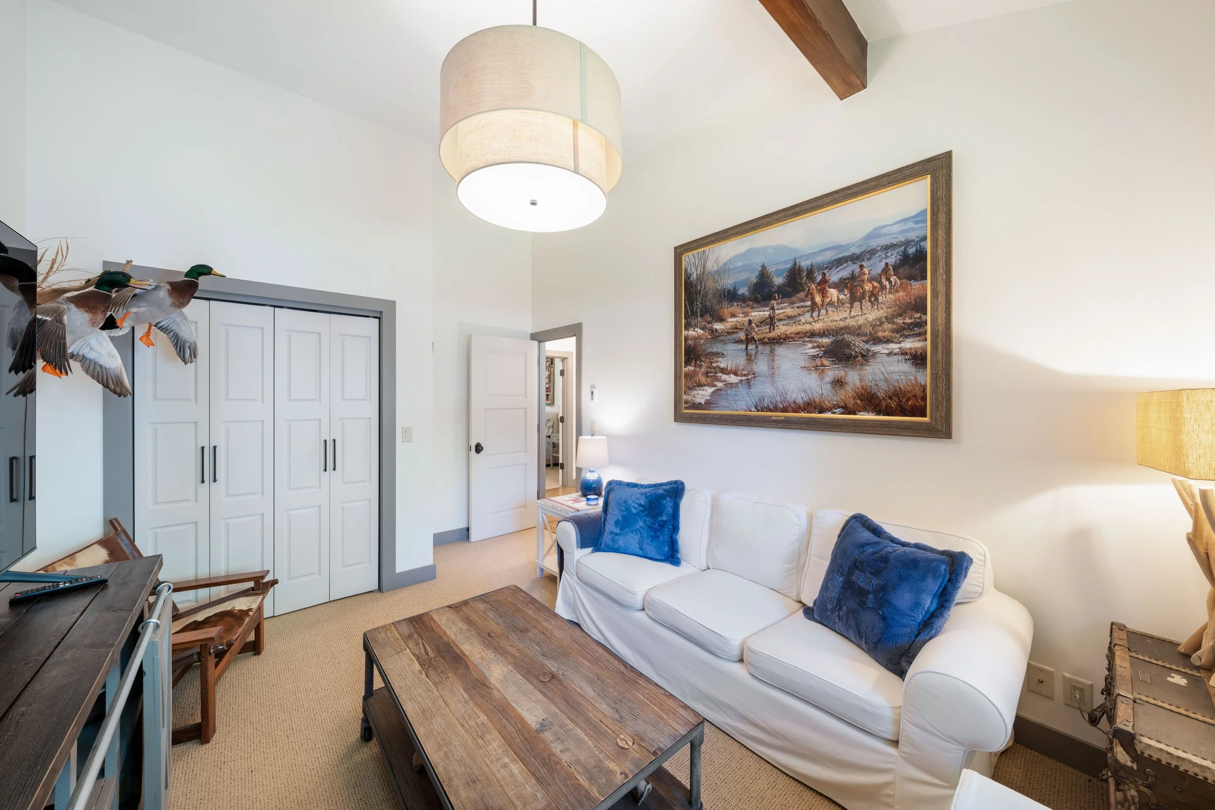 TV Room / Guest Bedroom