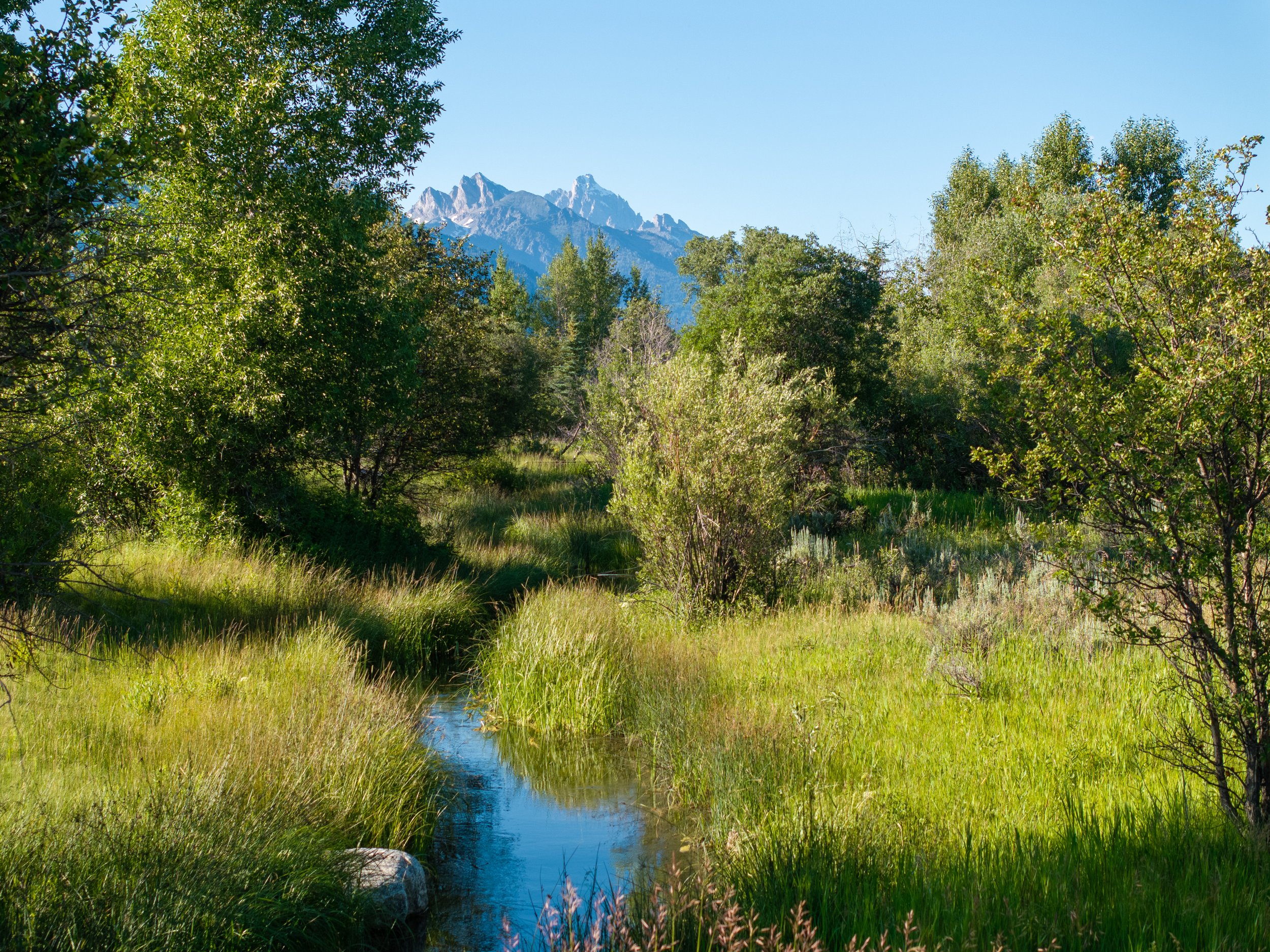 31-Seasonal Stream with Views-88.jpg