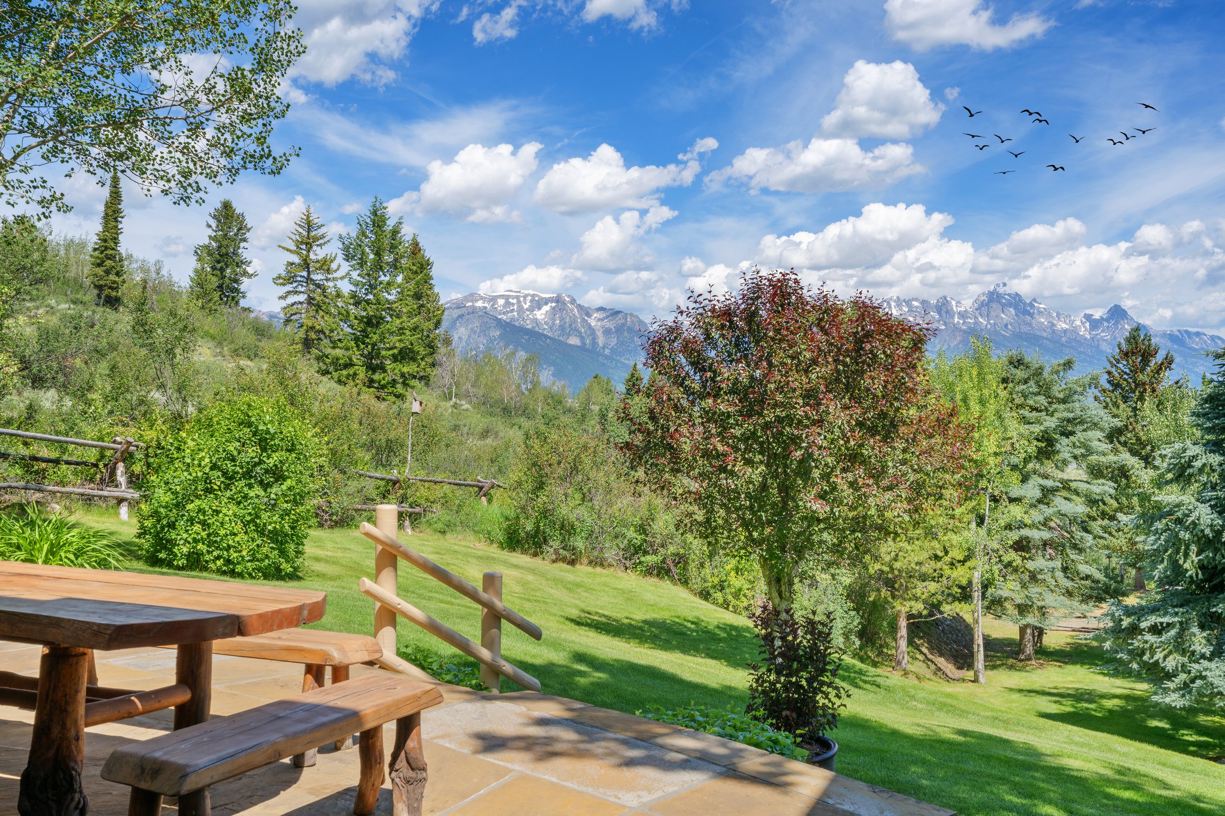 Abutting National Forest