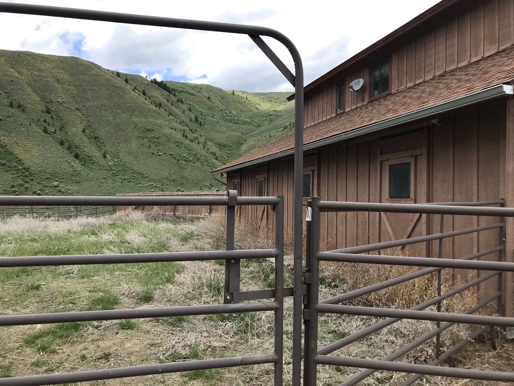 Horses Allowed