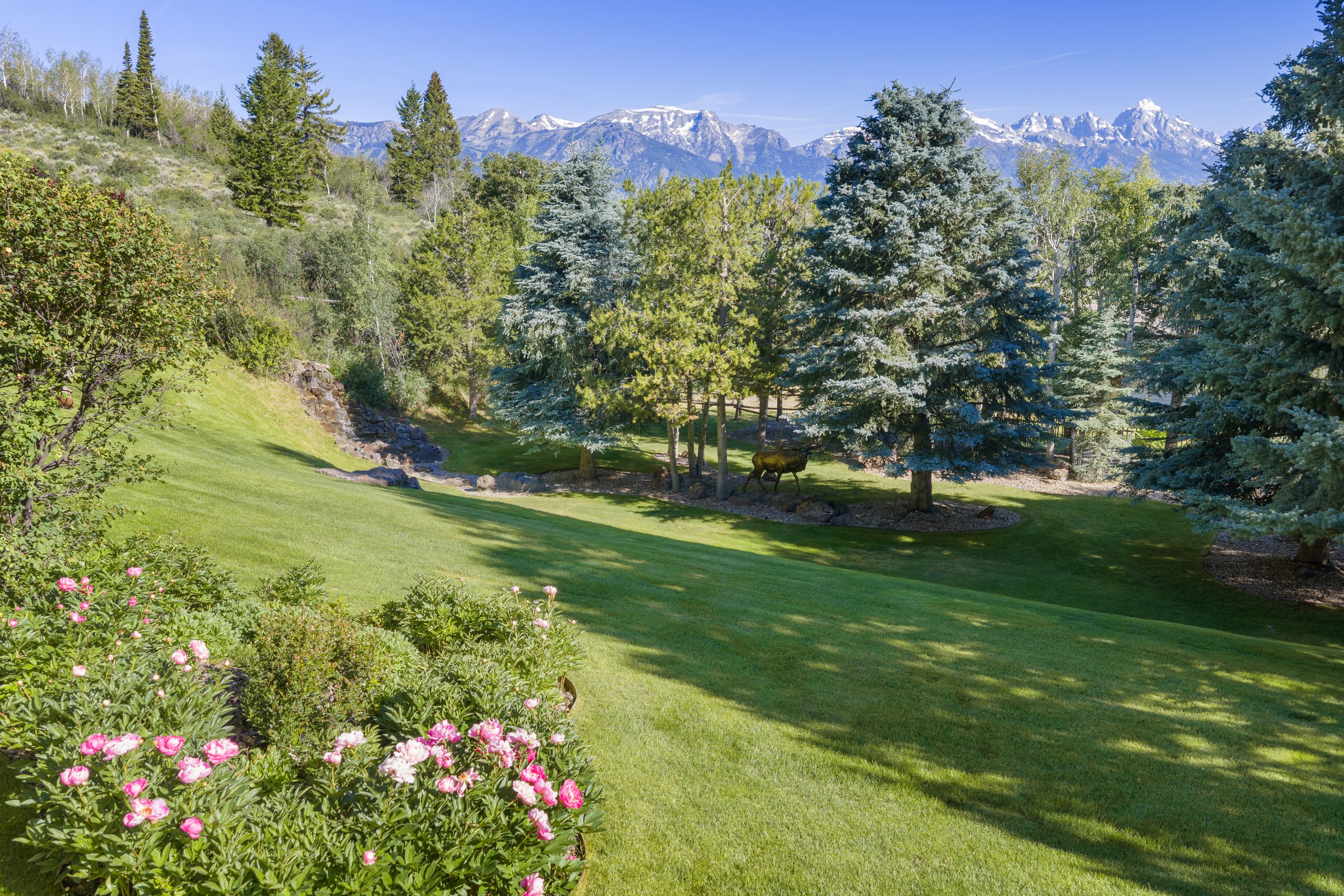 30-Beautiful Yard.jpg