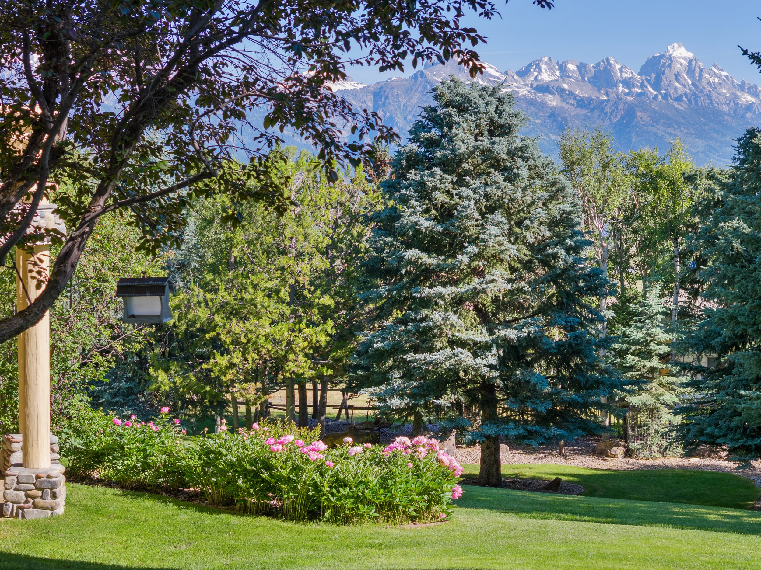 07-Idyllic Lot with Huge Views.jpg