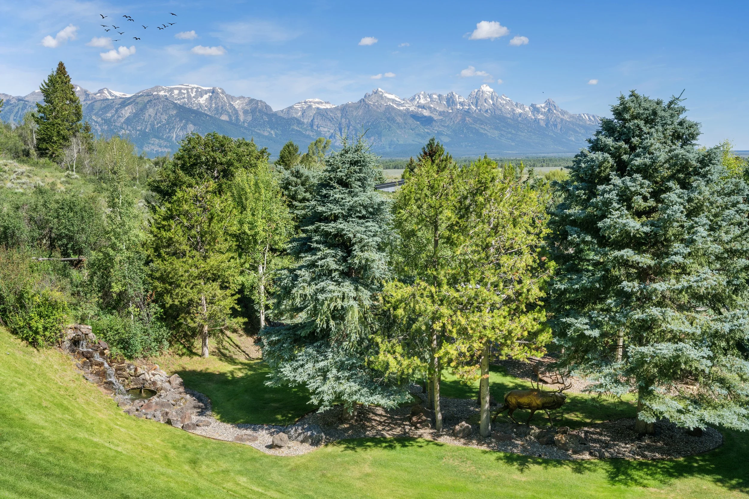 Incredible Mature Landscaping