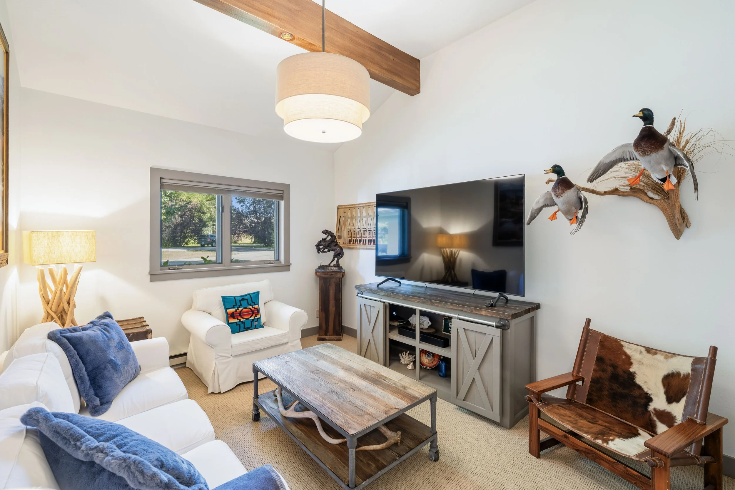 TV Room / Guest Bedroom