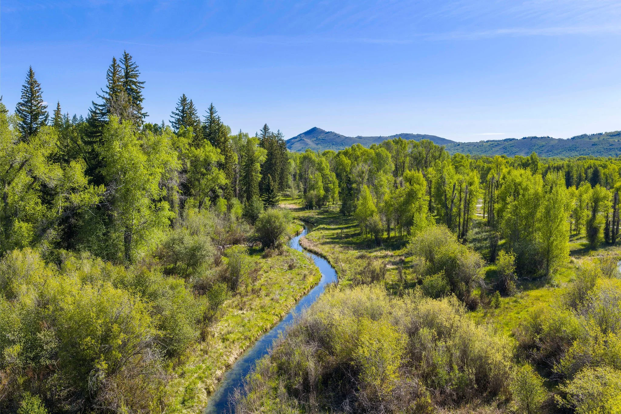 DJI_20260523092733_0463_D-2.jpg