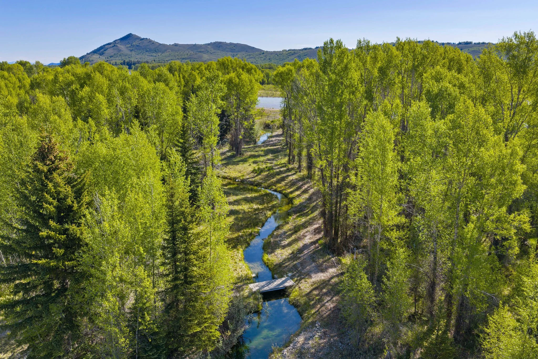DJI_20260523093406_0488_D-2.jpg
