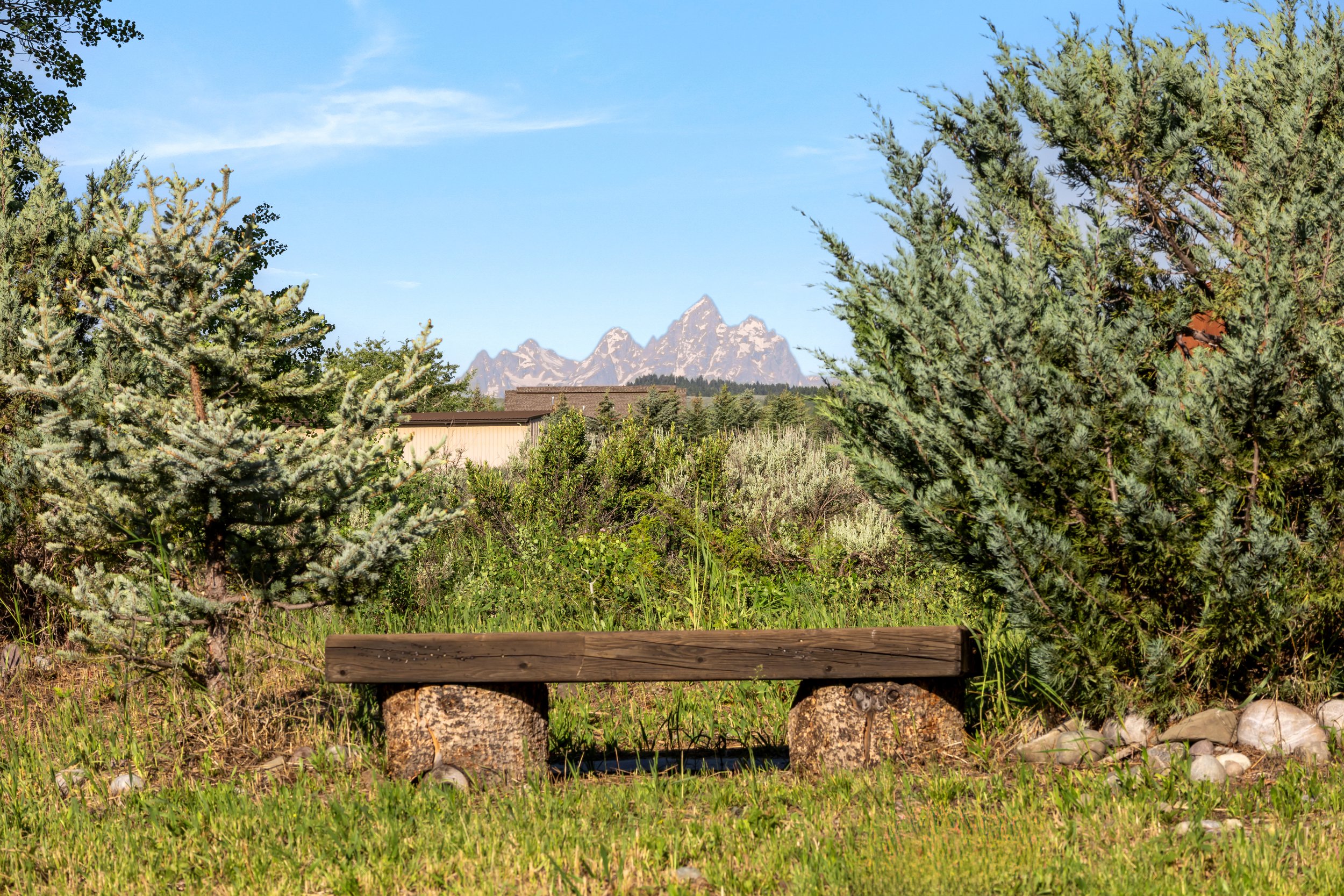 Scenic Grand Teton View