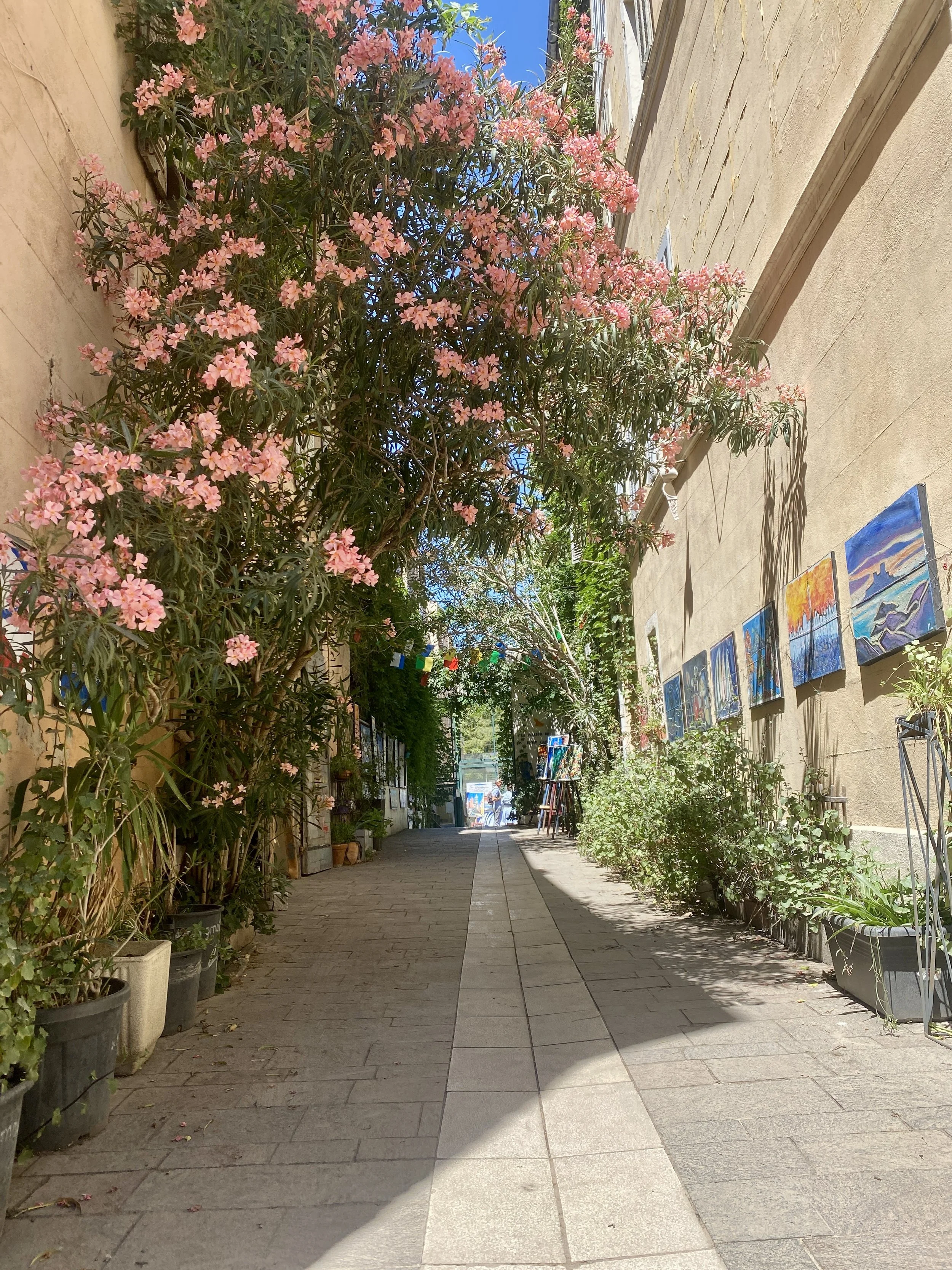 Over 40 solo travel in France.