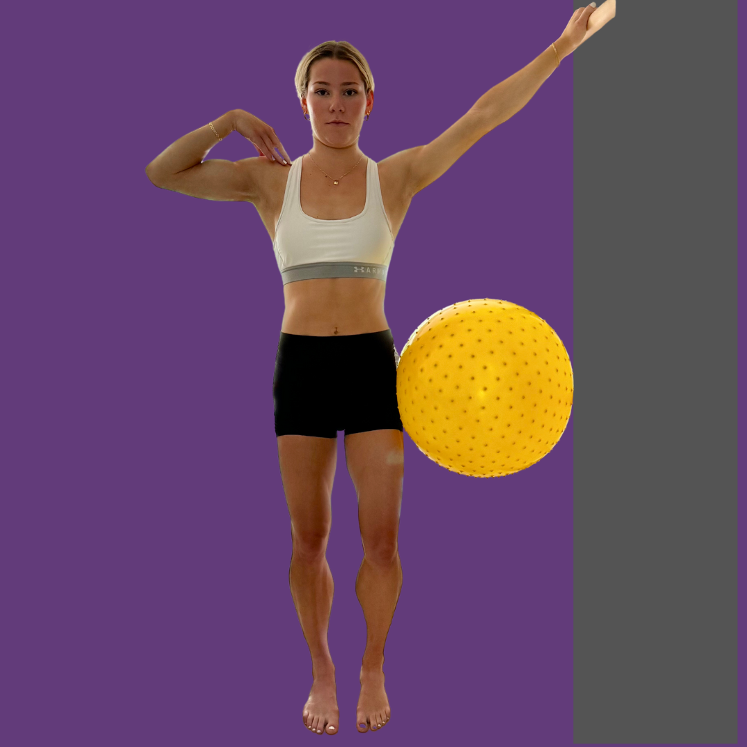 A.S.png
