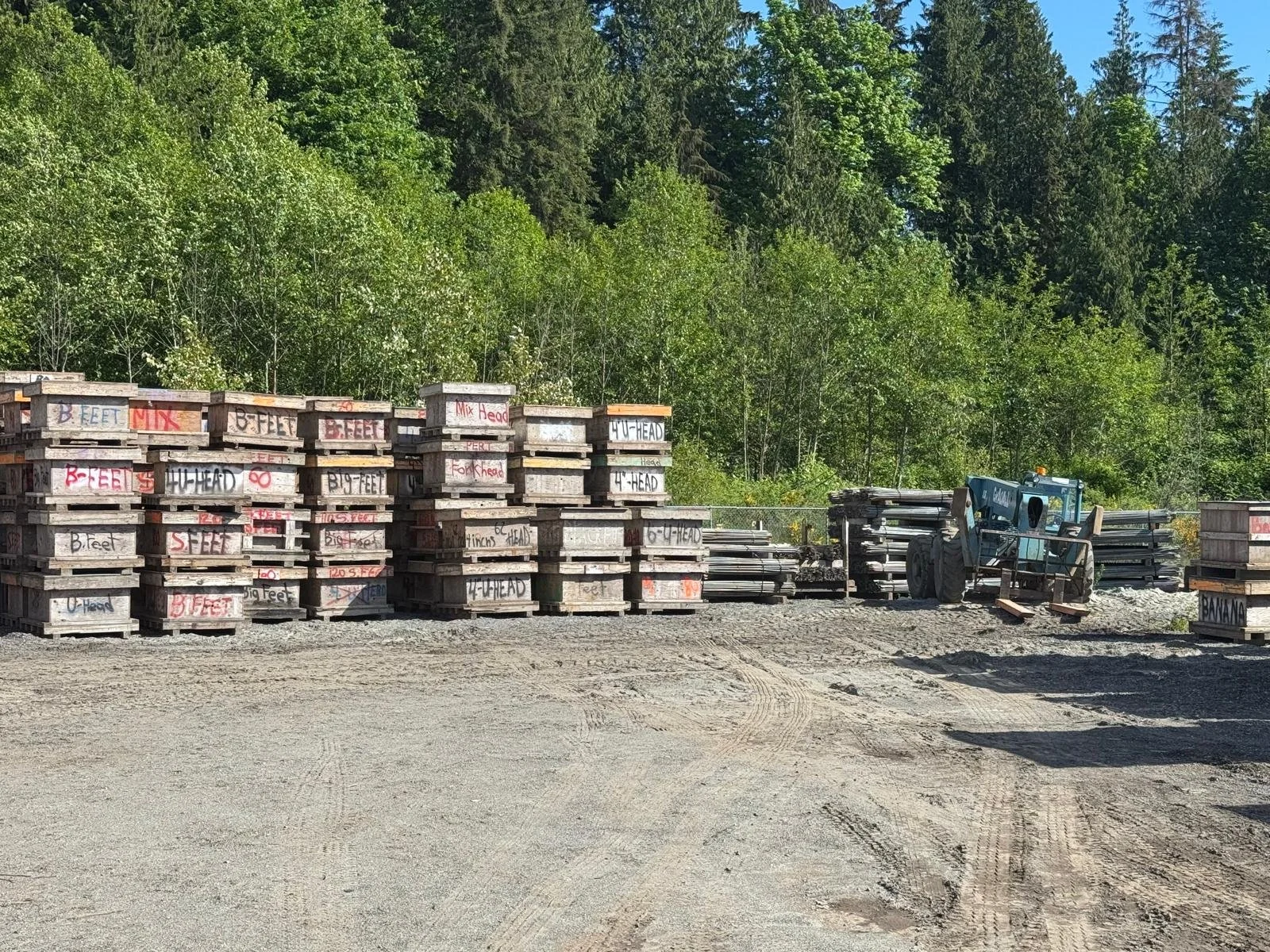 WhatsApp Image 2026-01-31 at 2.34.03 PM (4).jpeg