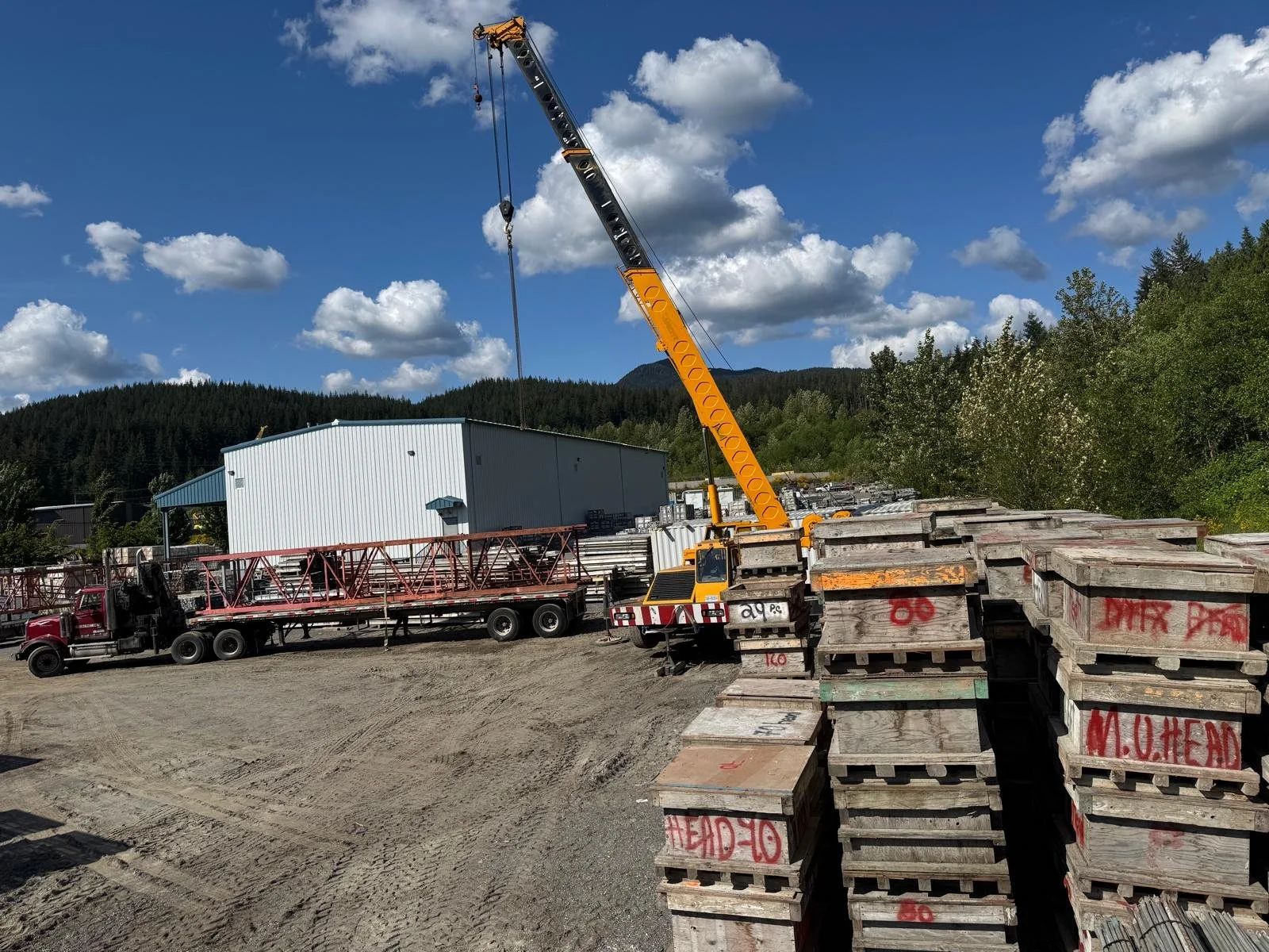 WhatsApp Image 2026-01-31 at 2.34.03 PM (5).jpeg