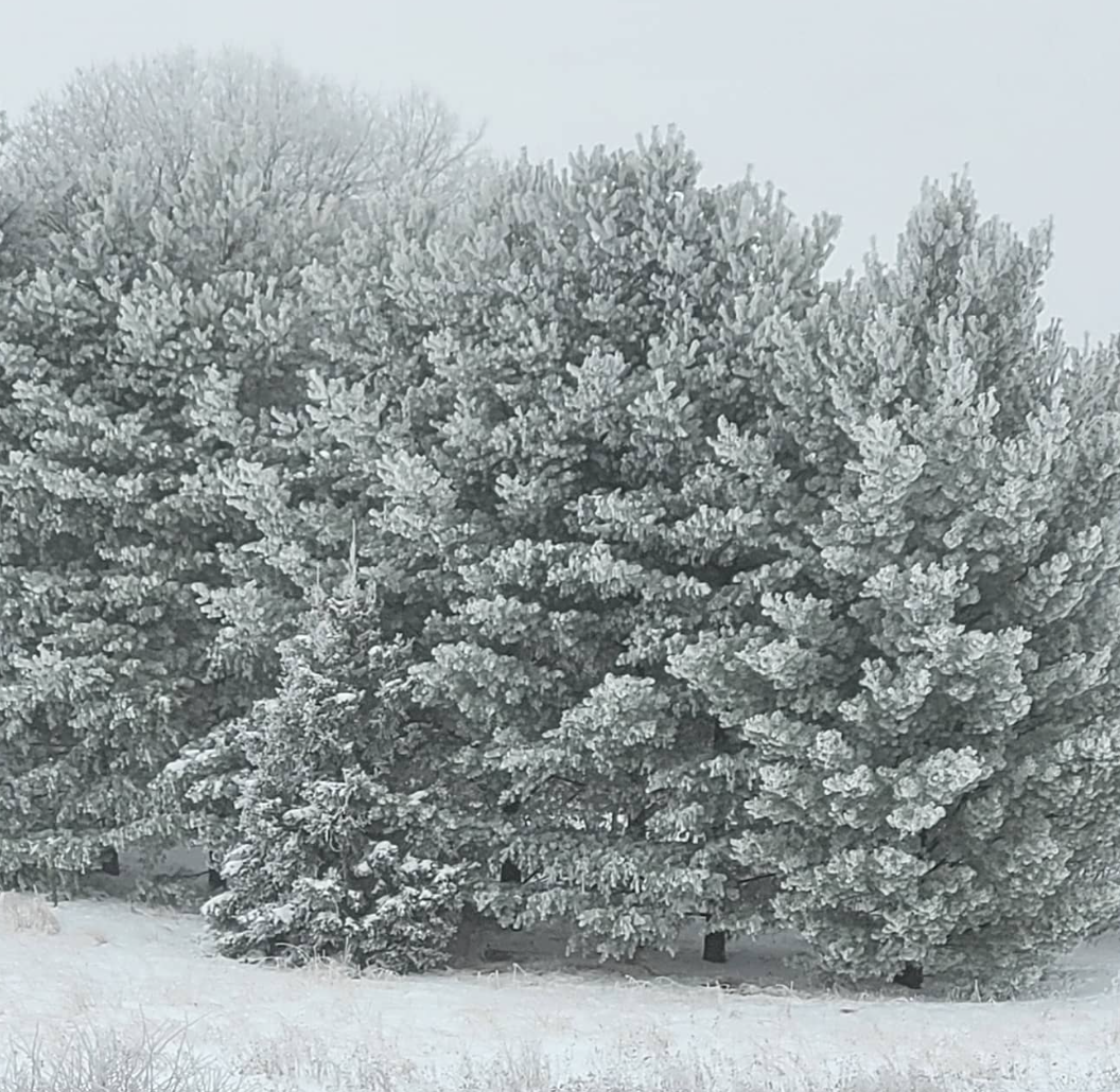 February Regular Town Board Meeting &amp; Board of Audit Meeting