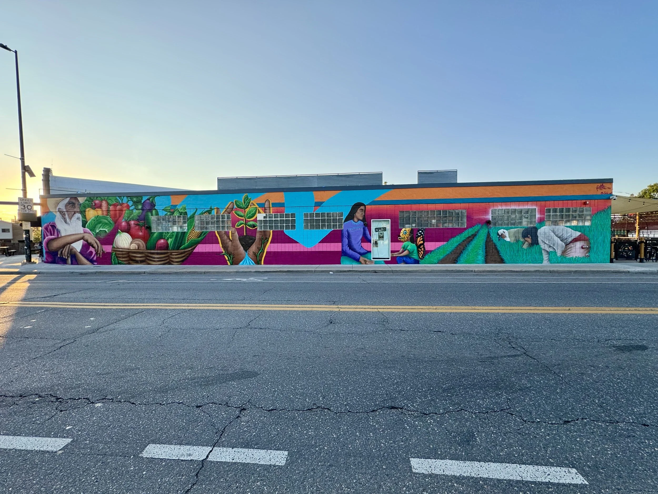 IMG_8875 3 copy.jpeg