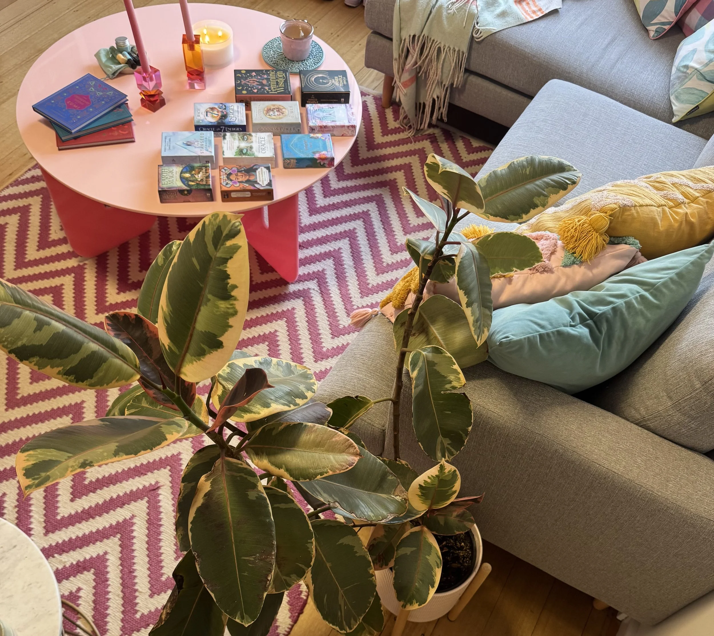 Living room with a pink coffee table holding books, candles, and a mug, a patterned pink and white rug, a gray sofa with colorful pillows and blankets, and a large plant with variegated leaves in a white pot.