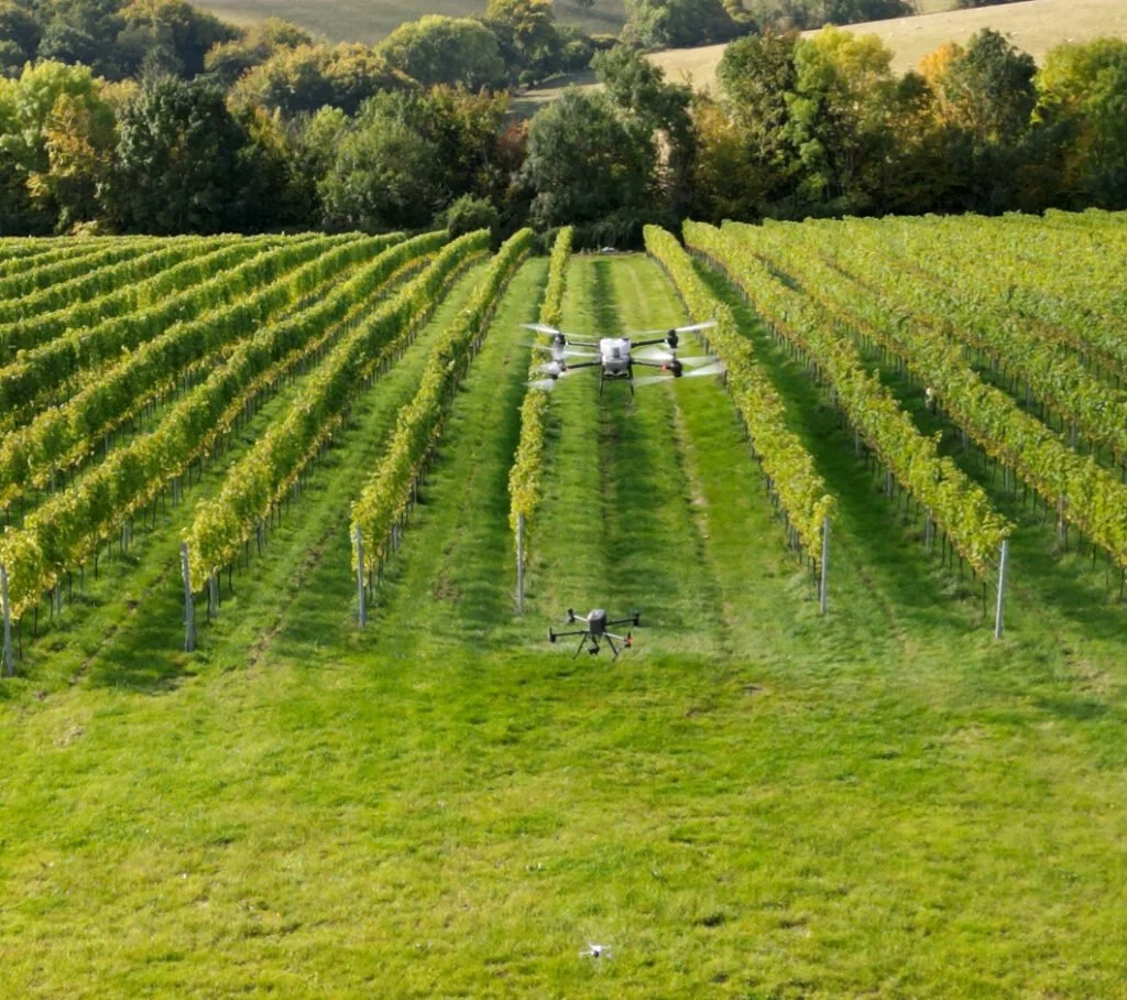 Two drones flying over a vineyard with rows of grapevines, surrounded by trees and hills in the background.