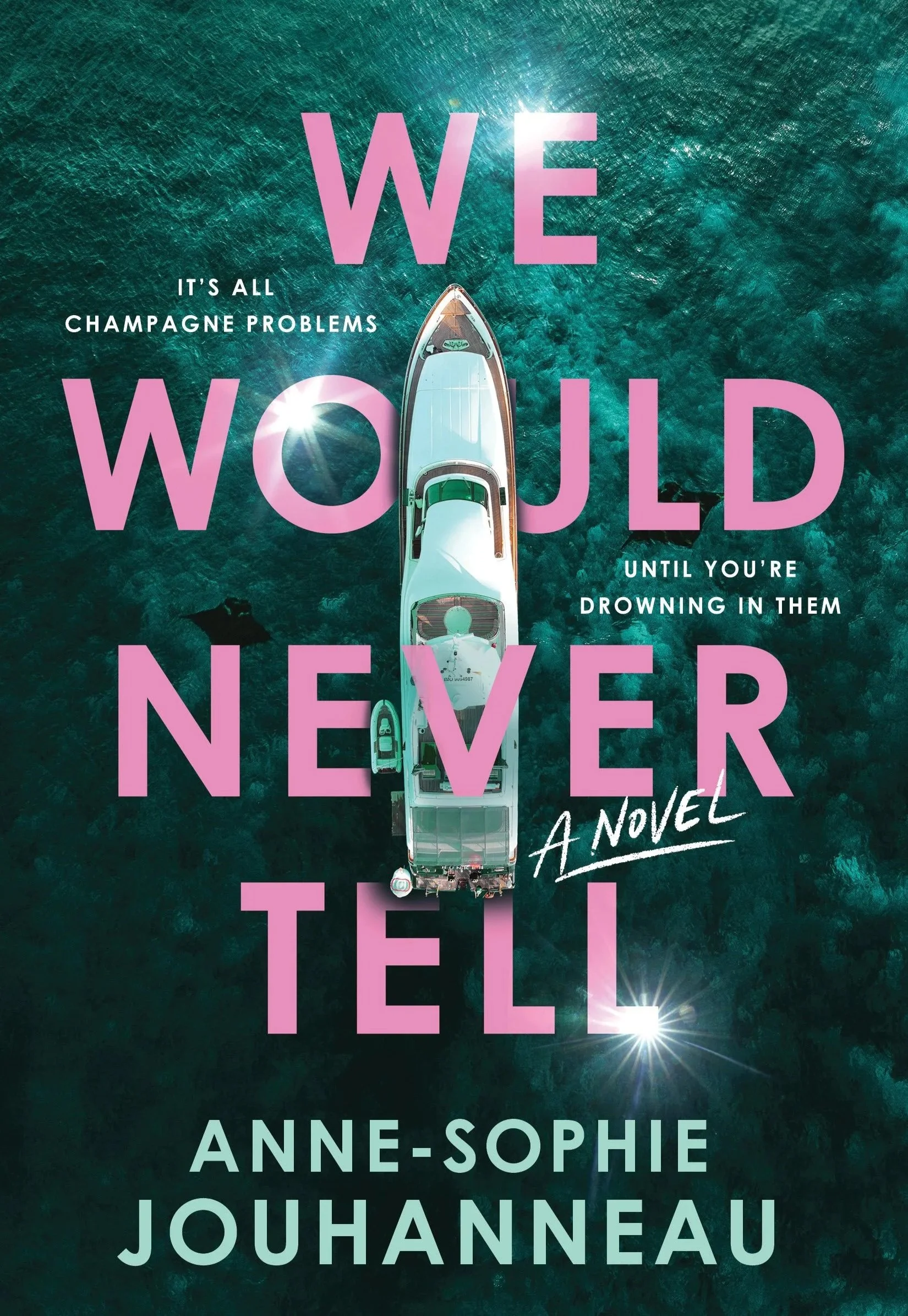 We Would Never Tell by Anne-Sophie Jouhanneau