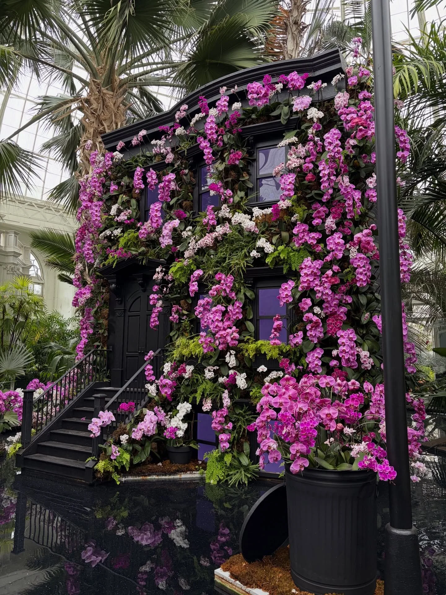 Caught the @nybg orchid show on the last weekend. So beautiful, so New York, so fun. Glad we got to see it even with the pouring rain outside. 

#bronxbotanicalgarden #orchidshow #nybg #nybgorchidshow