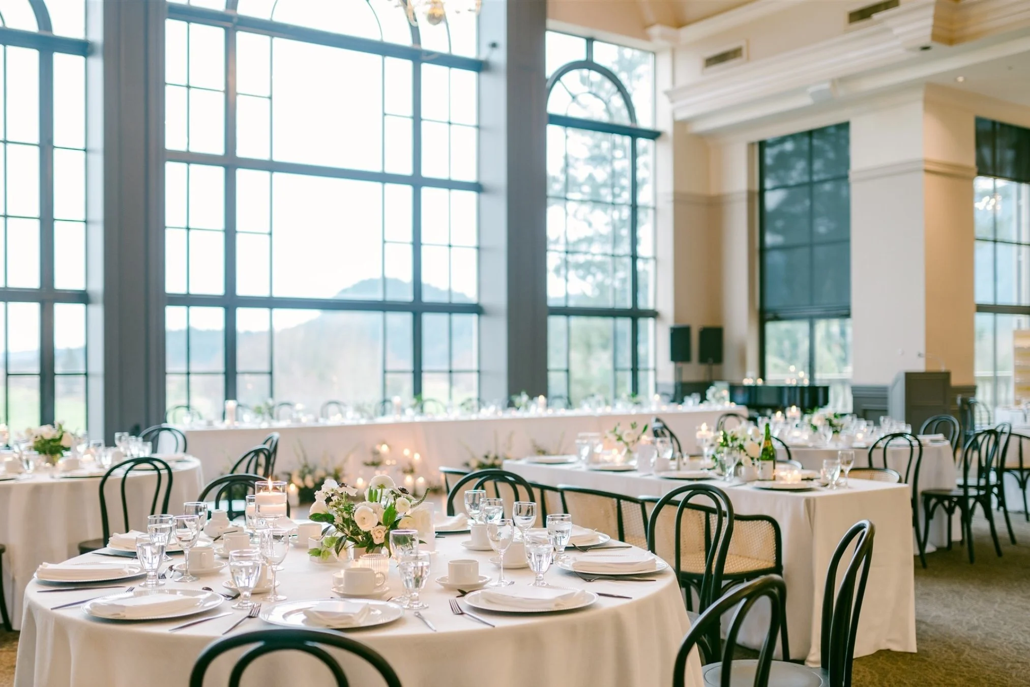 wedding-reception-swaneset.jpg