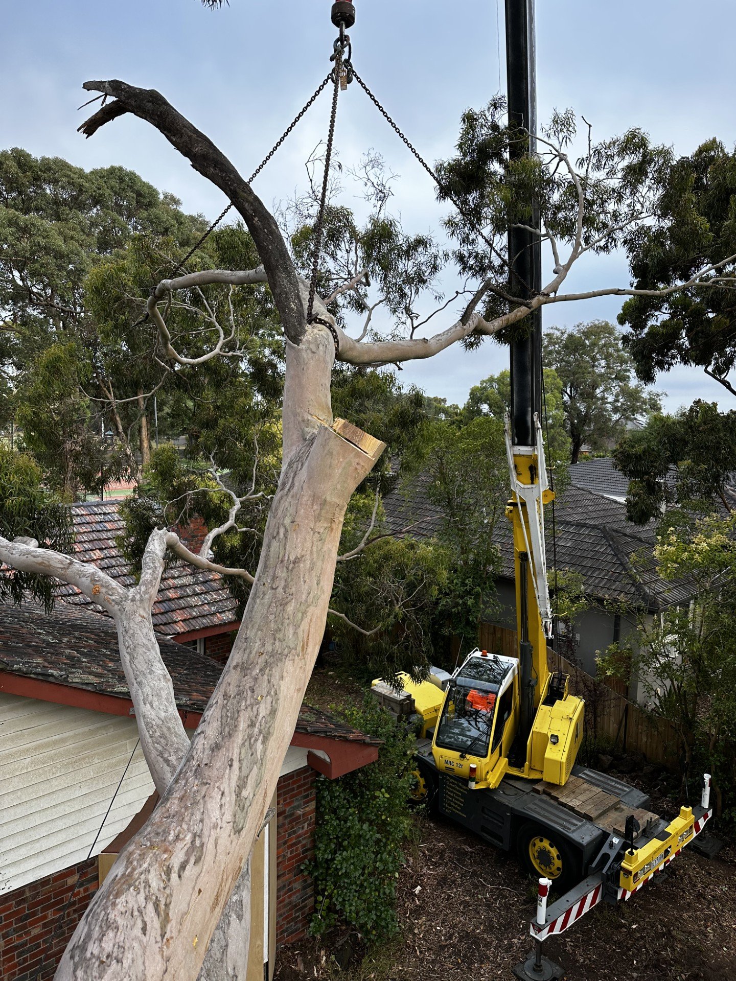 Crane lifting large tree branch over residential area