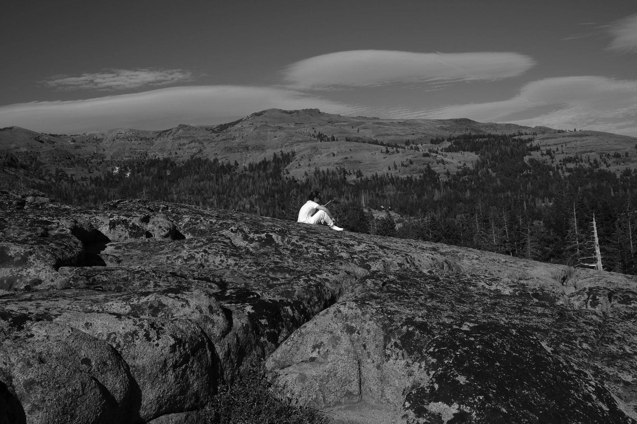 'waiting'
concept, waiting.
featured in 'Company Kept In Contrast" as 'pondered'.