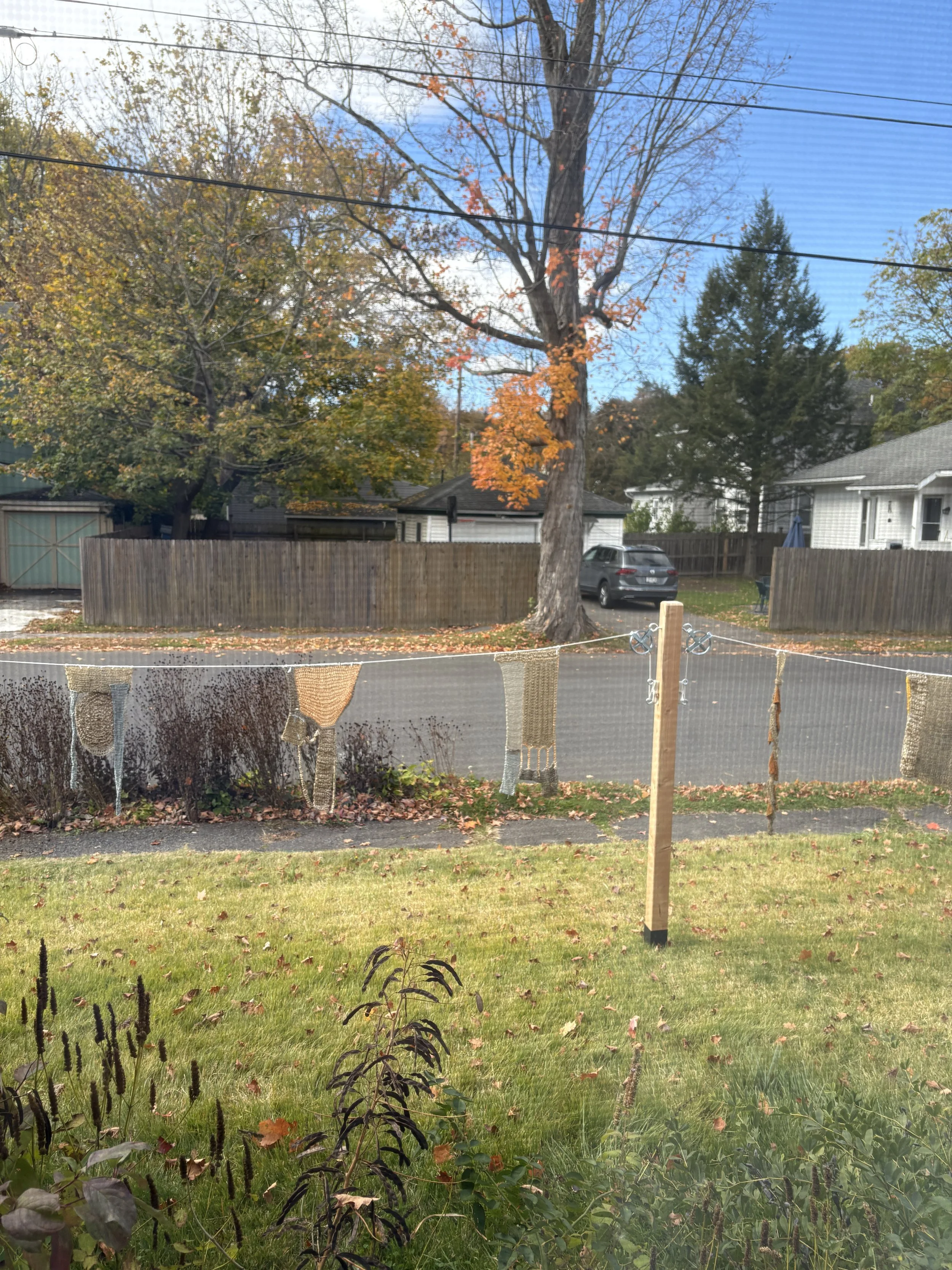 View from through the window screen, "these hands are hers," October 2205