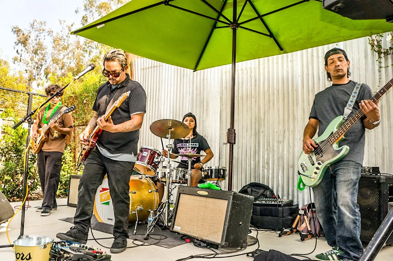 Picture of SKUNKDUB and the High Influence