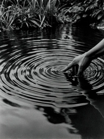 A person touching water in a river or pond with ripples, surrounded by plants.