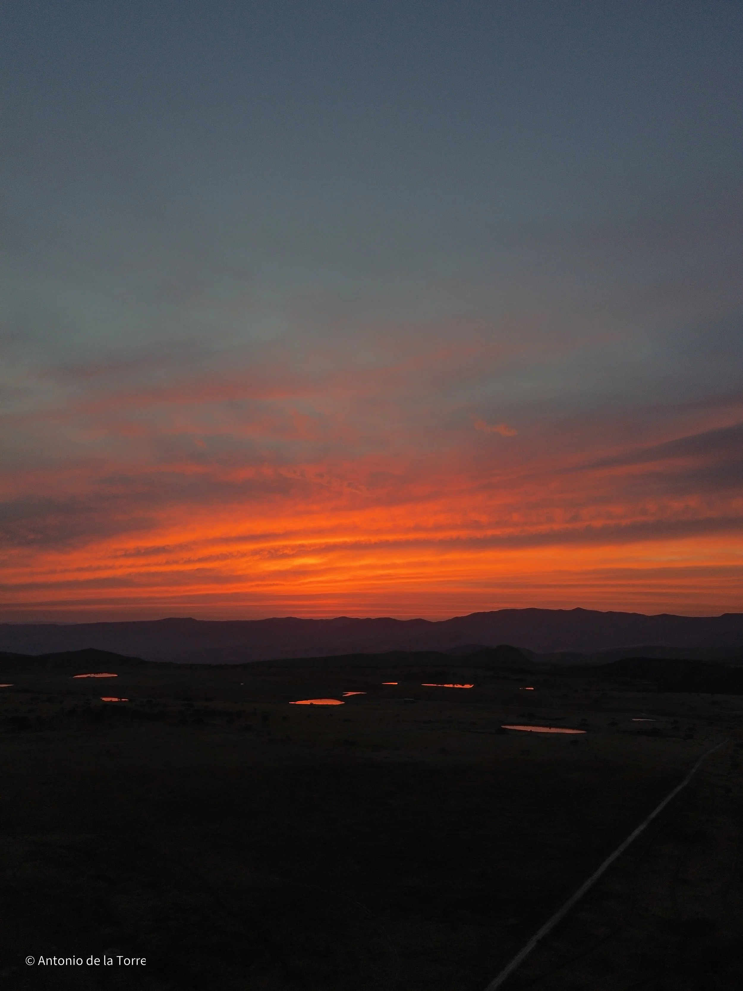 DJI_0834.jpg