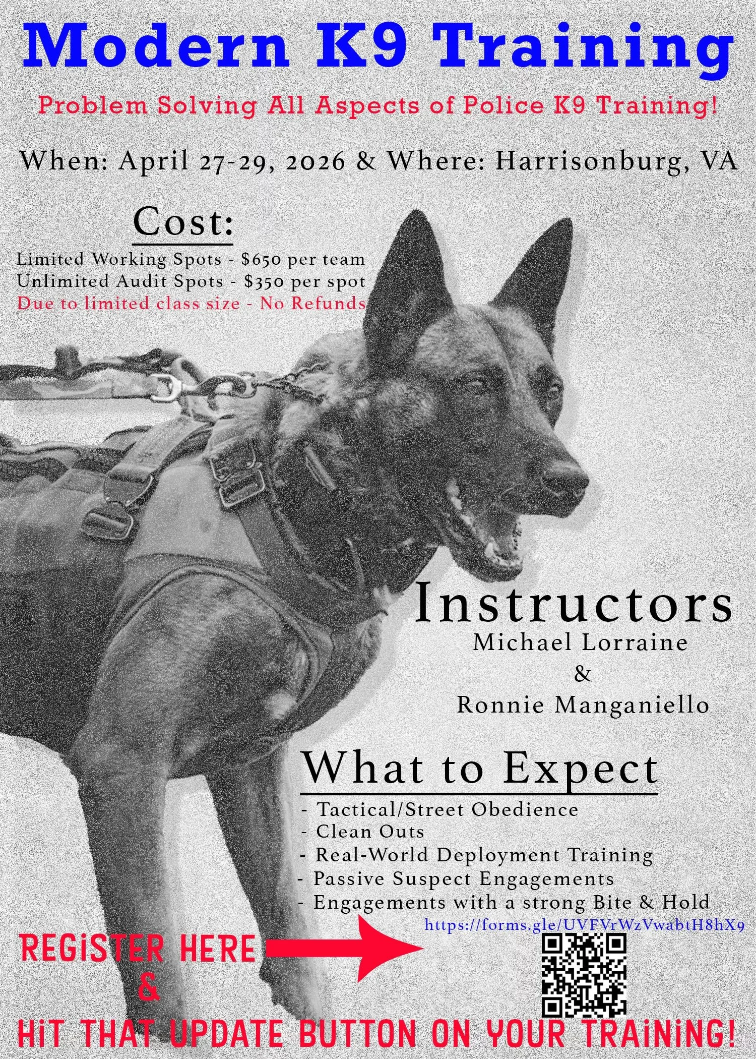 Modern Dog Training (Audit Spot)