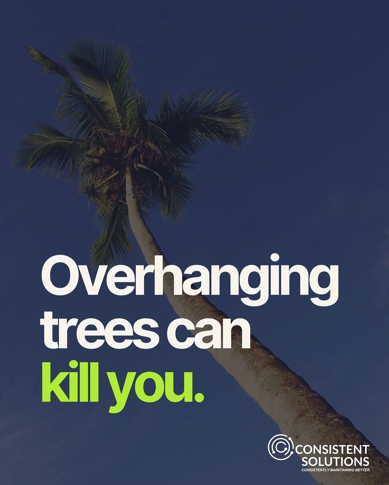 ⚠️ Overhanging branches are not just an eyesore &mdash; they&rsquo;re a danger! ⚠️ 

Encroaching tree branches carry a number of risks:

&bull; Branches falling on pedestrians, cyclists or vehicles
&bull; Obstructing traffic + pathways
&bull; Creatin