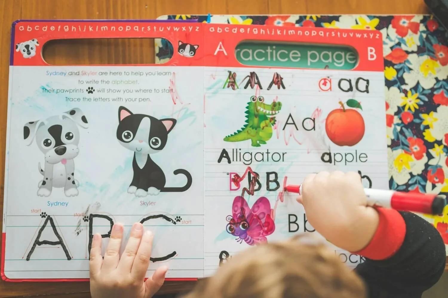 A child practices tracing and writing the letter A on a colorful alphabet practice page in a children’s activity book, featuring cartoon animals, images of an alligator and an apple, and the words ‘Alligator’ and ‘Apple.’