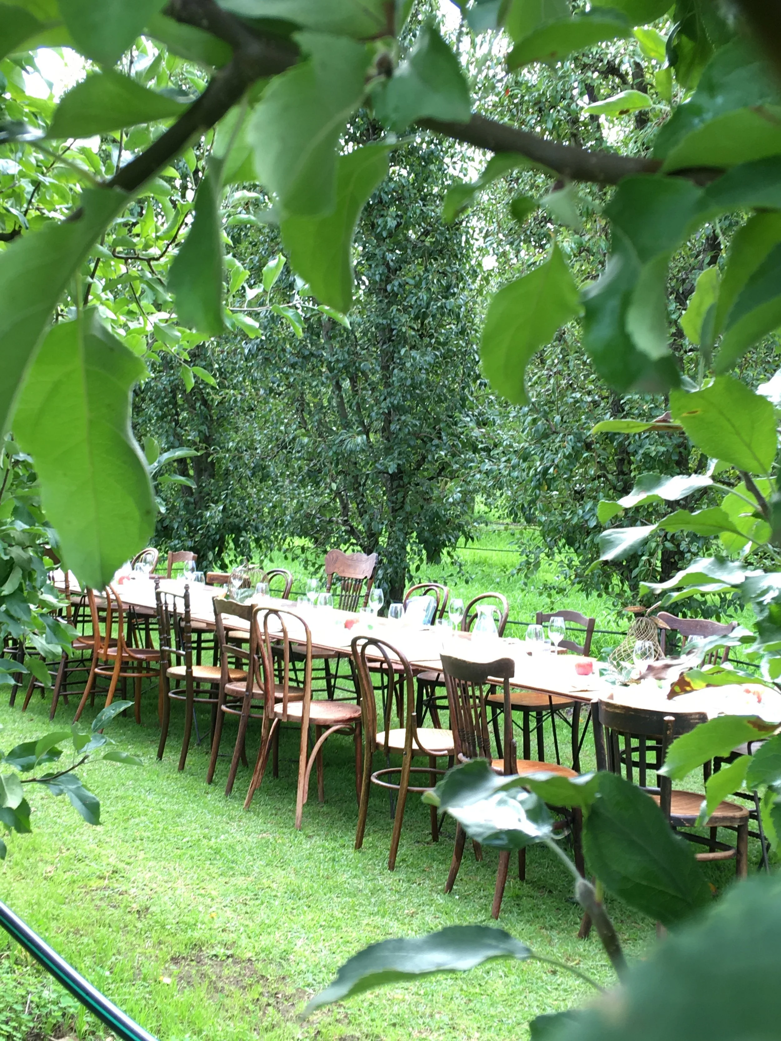 Photo 14-05-2016, 10 12 55 AM.jpg