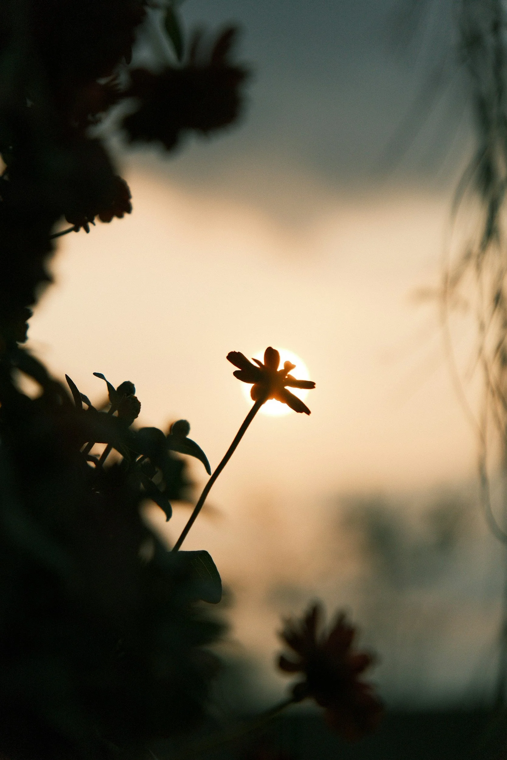 possibility