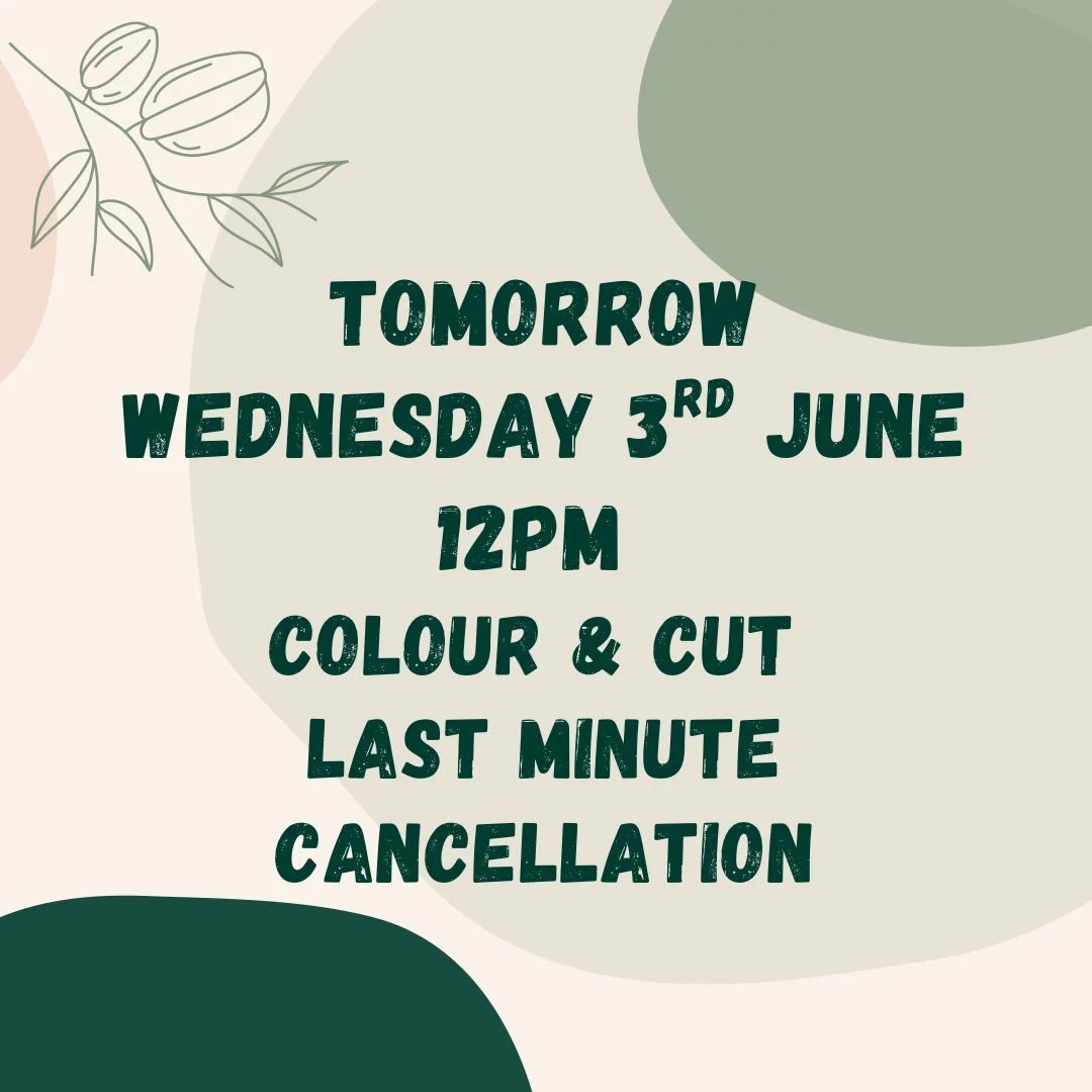 Last minute Cancellation- message us if you want to snap this up!
