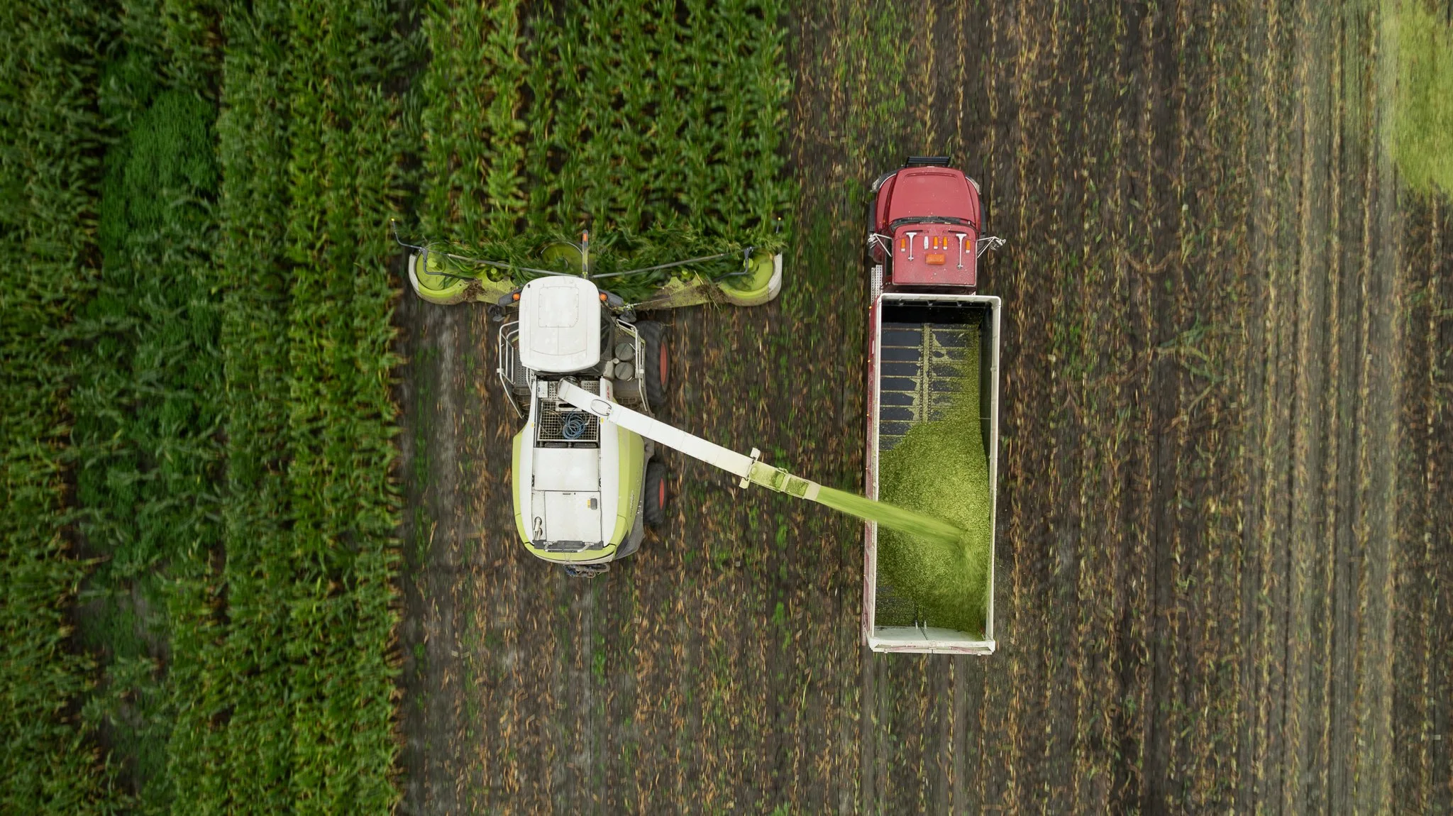 Two green and black tractors with yellow tracks on a farm field, viewed from between other equipment, with a person inside the tractor cabin.