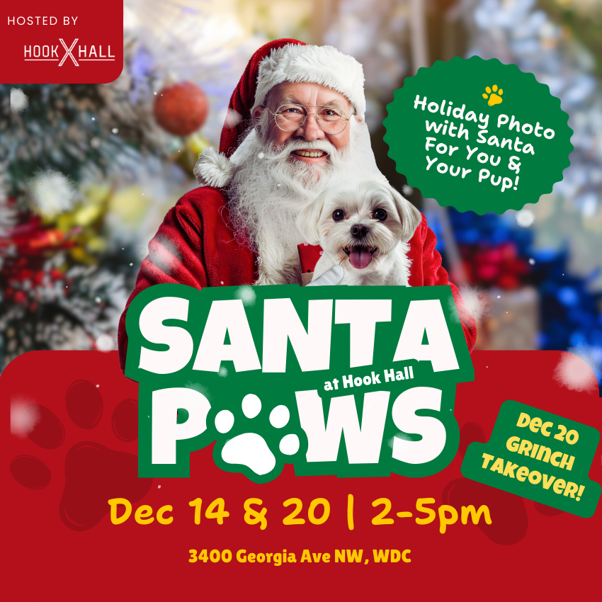 Santa Paws at Hook Hall