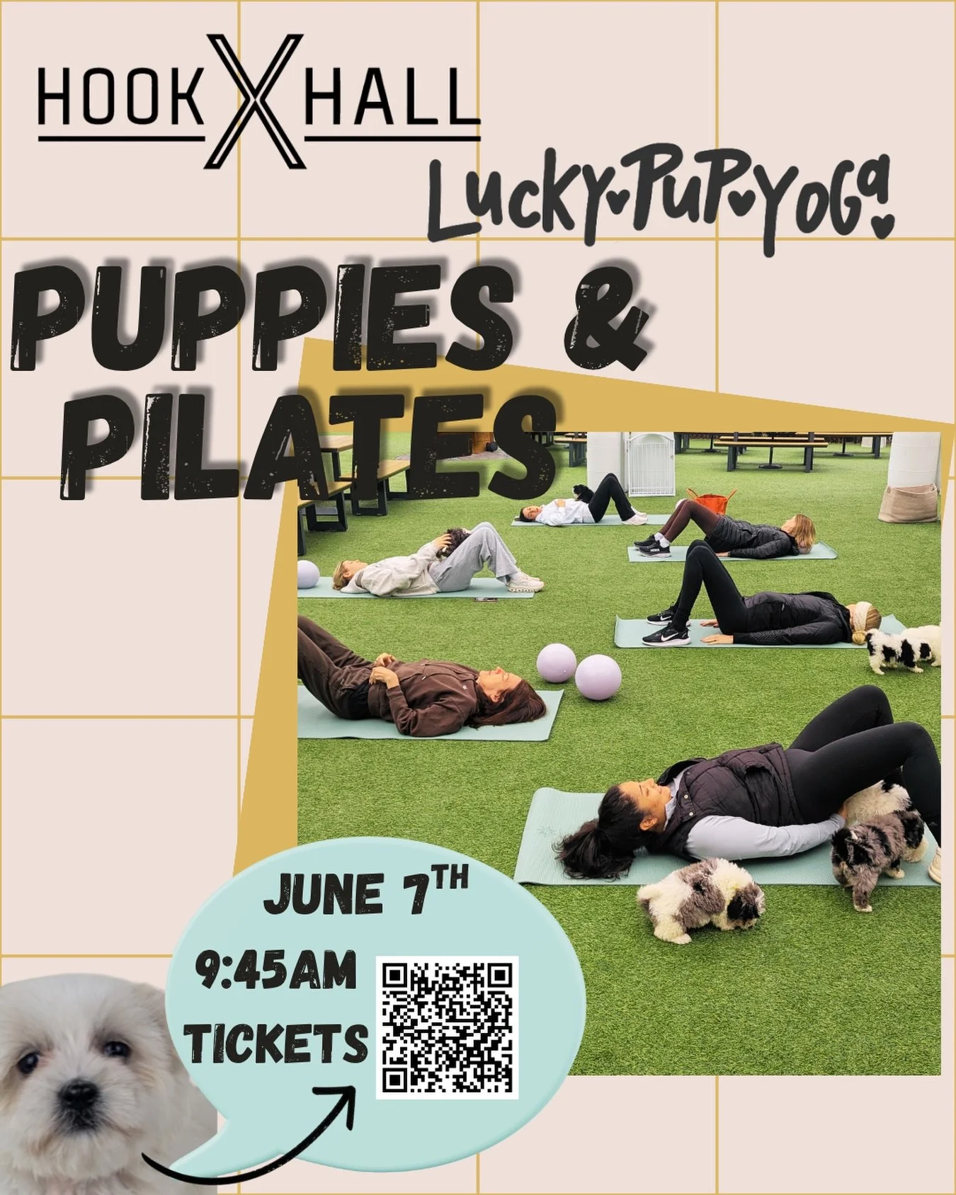 Lucky Puppy Yoga