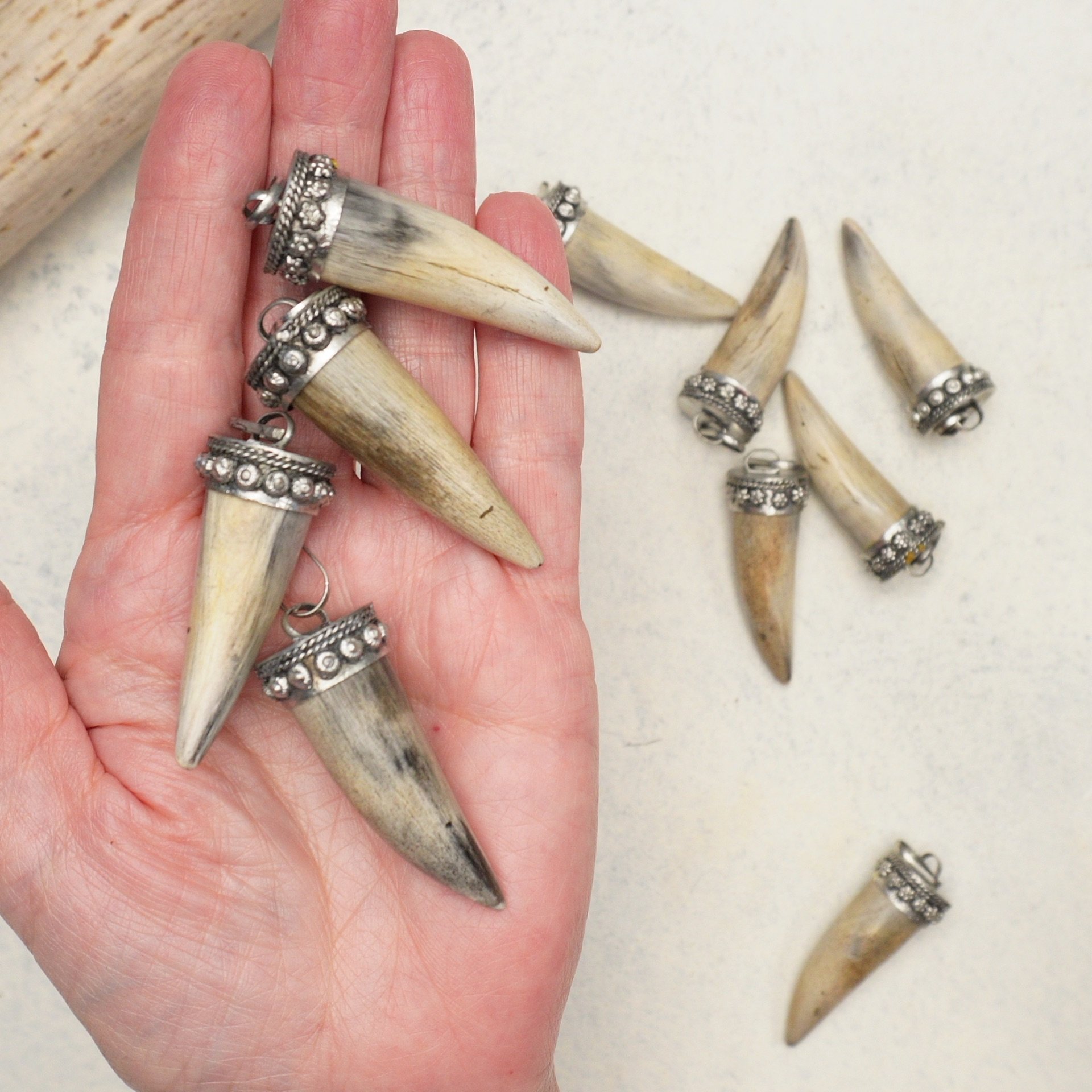 Bone Horn Pendant (1A3)