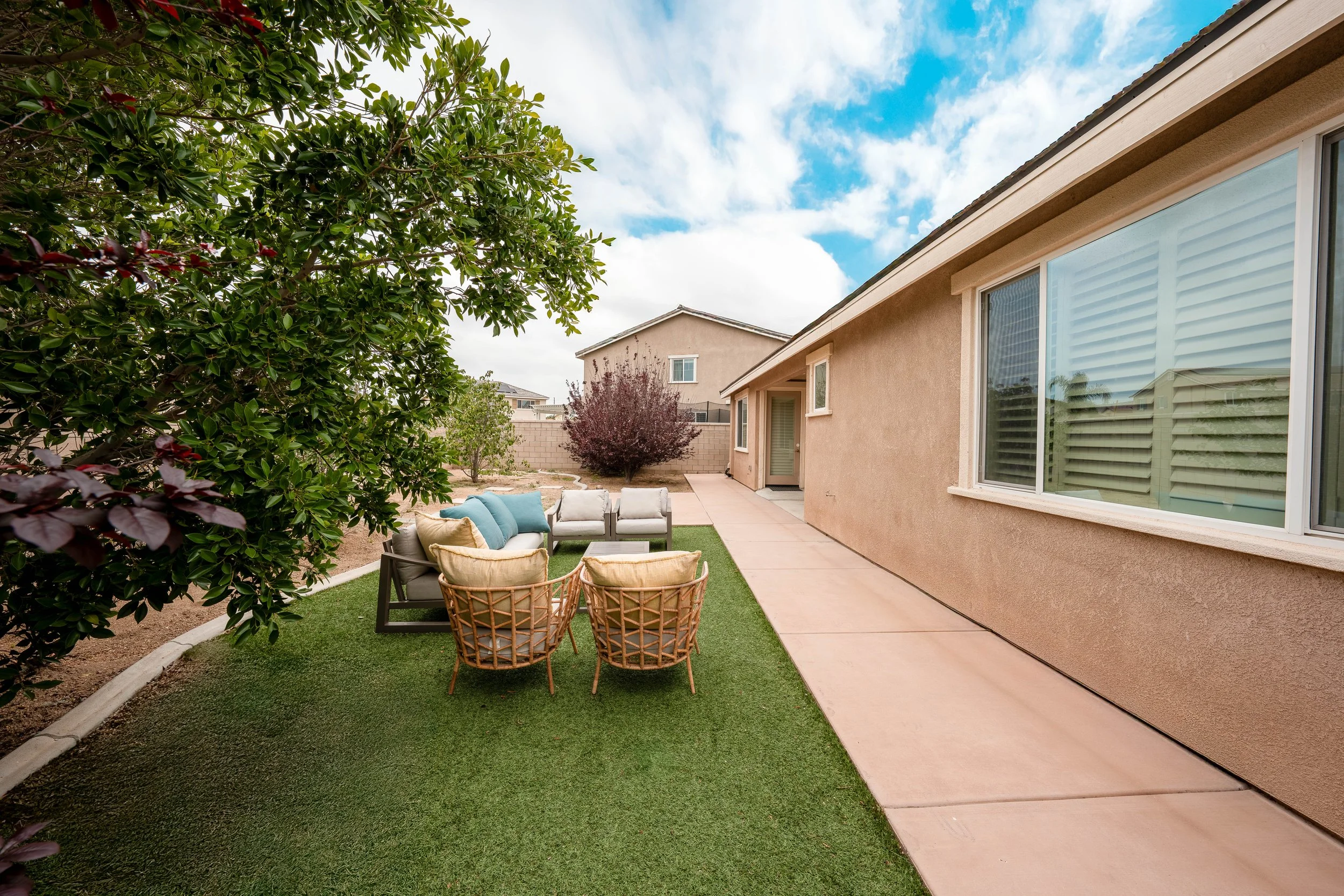 Back Yard1.jpg