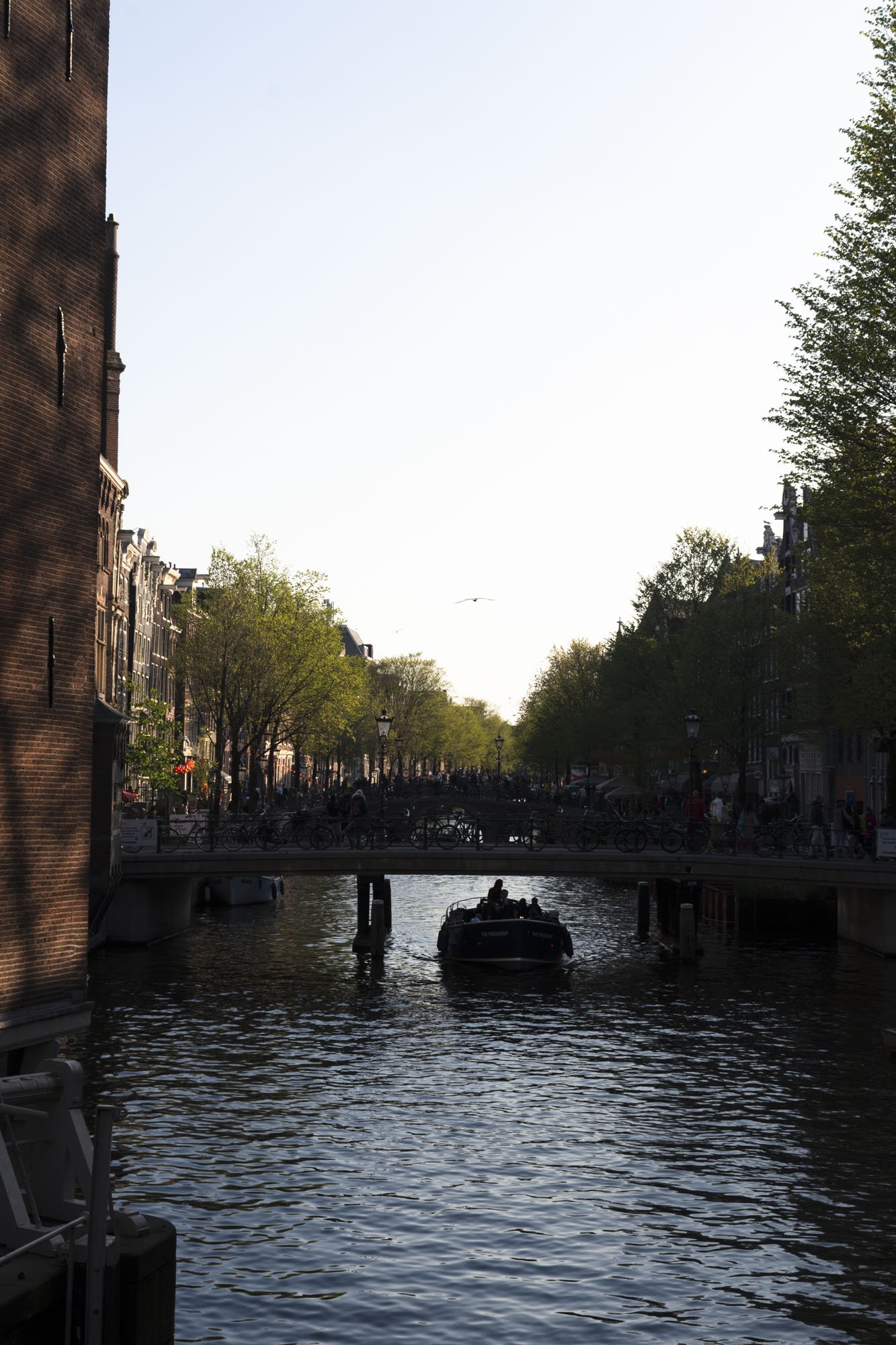 SLI_Amsterdam_250425_03.JPG