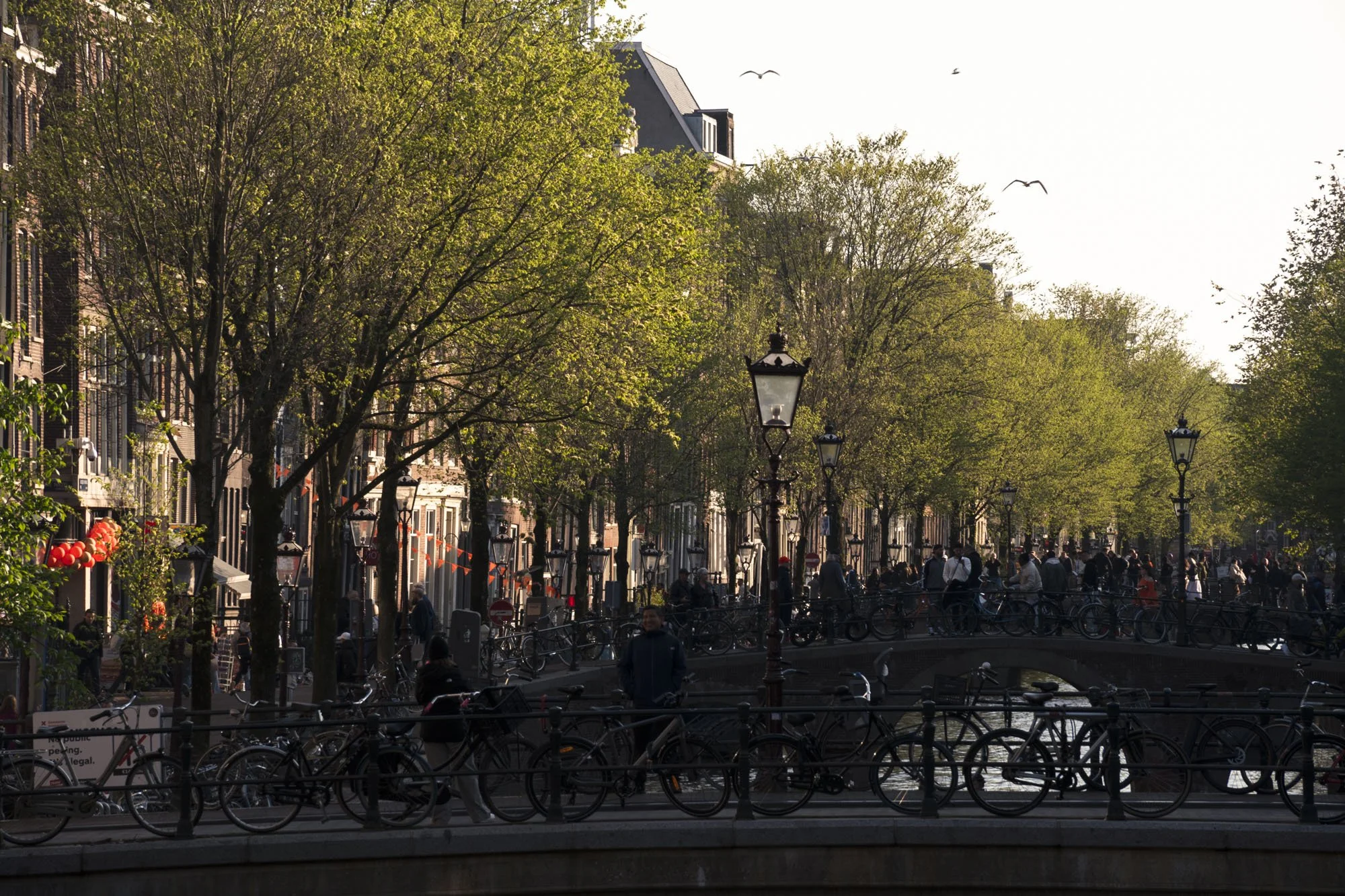 SLI_Amsterdam_250425_05.JPG