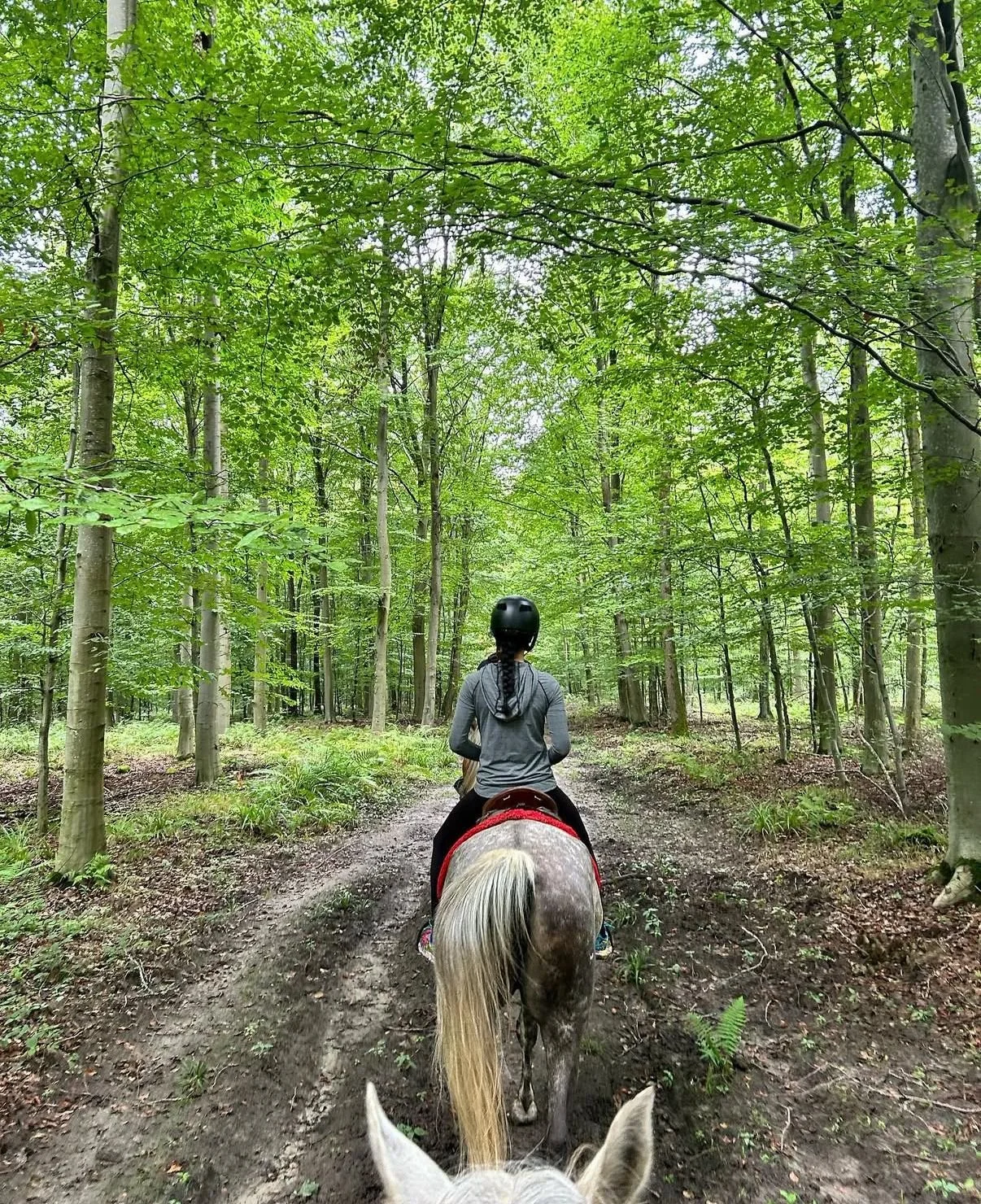 WhatsApp Image 2025-09-22 at 15.41.31.jpeg