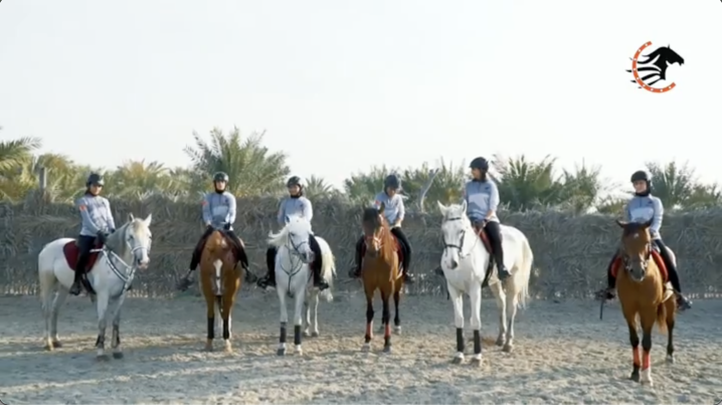 Screenshot 2025-10-07 at 11.43.02 am.png