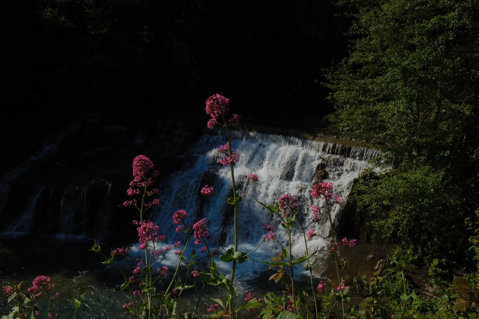 DSCF2917.jpg