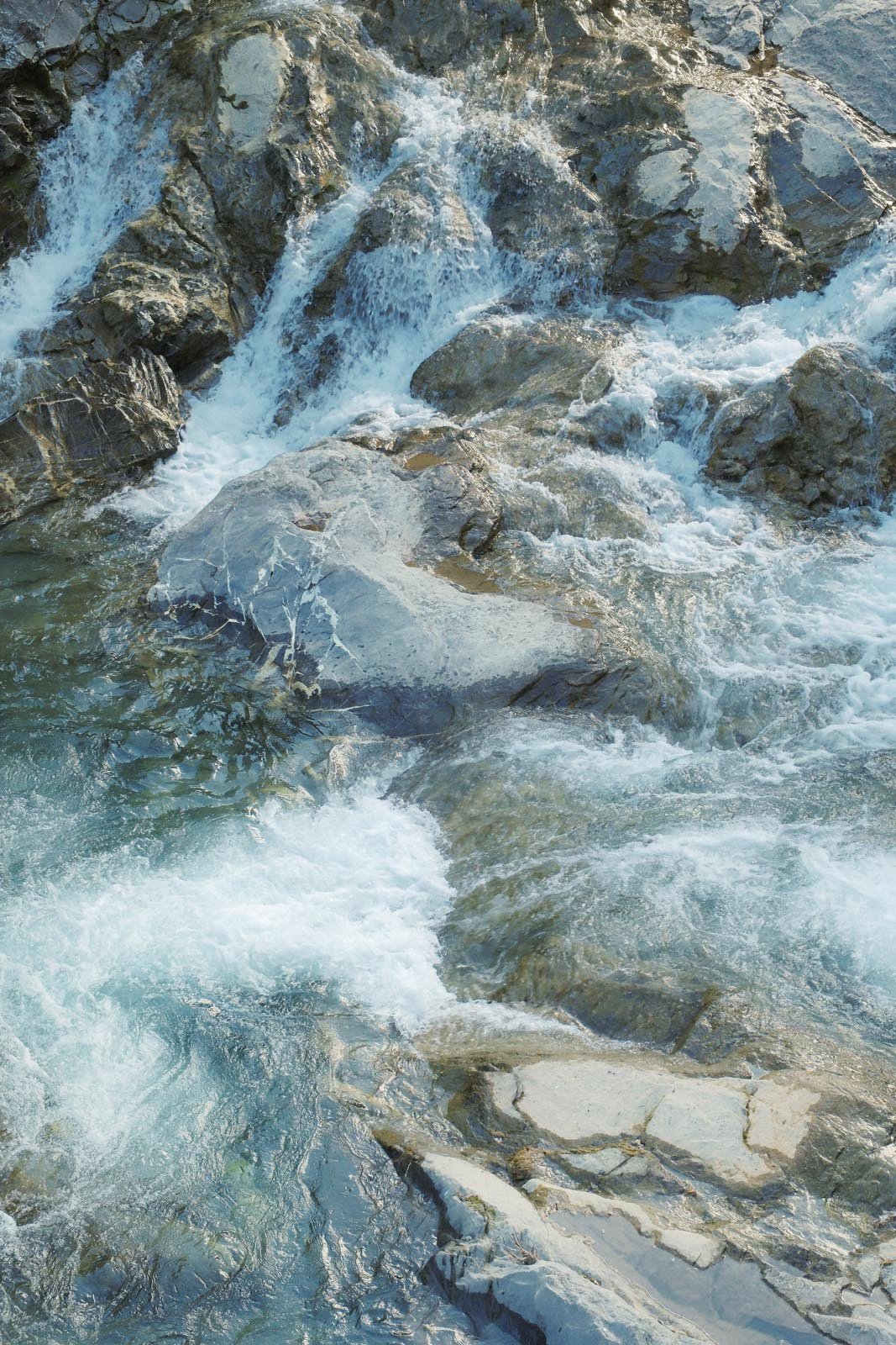 DSCF2724.jpg