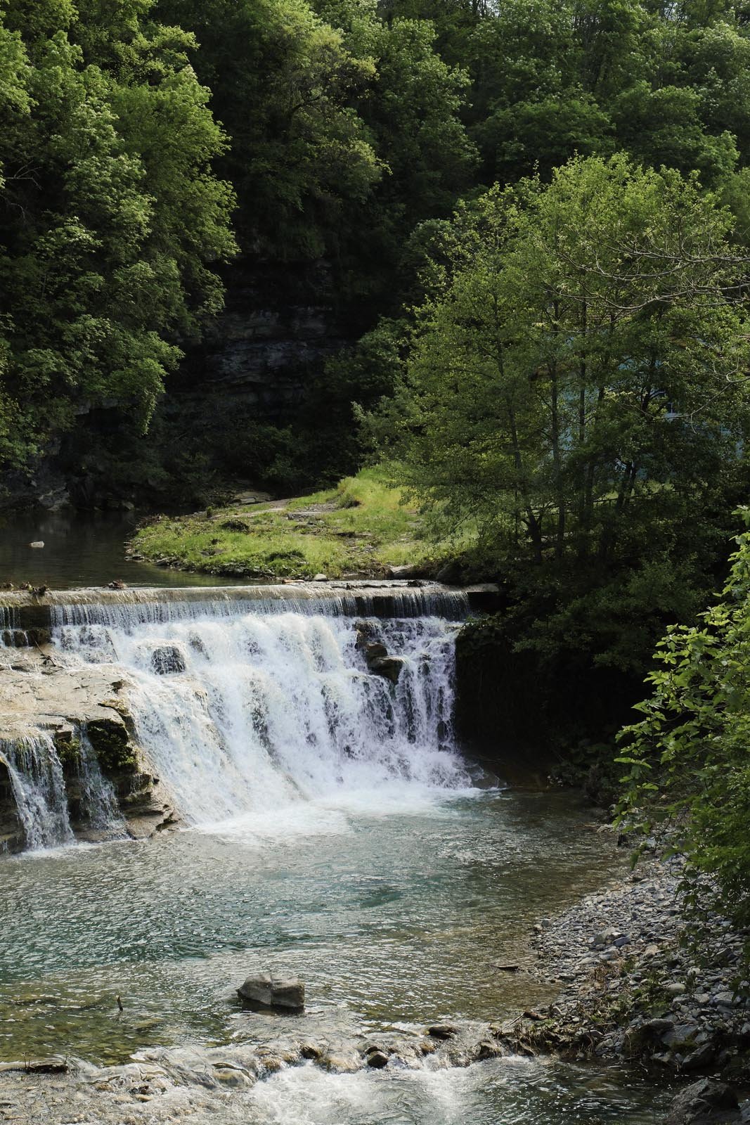 DSCF2682.jpg
