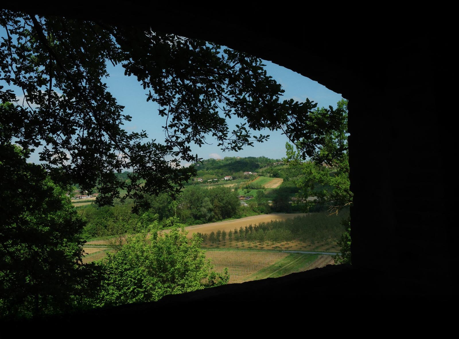 DSCF2551.jpg