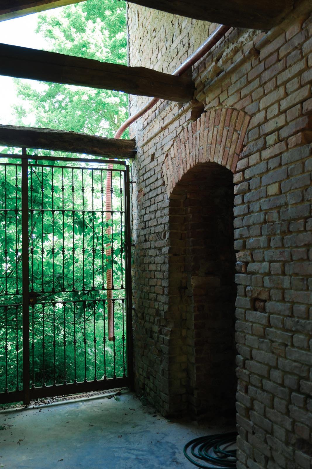 DSCF2564.jpg