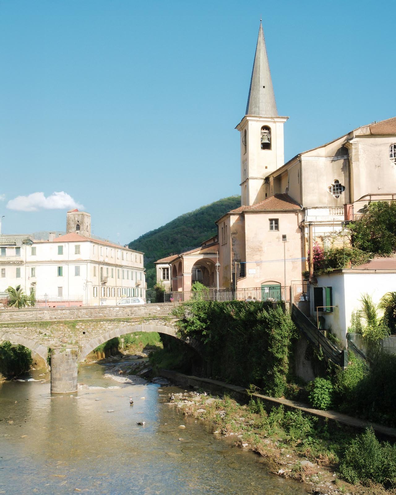 DSCF2711.jpg