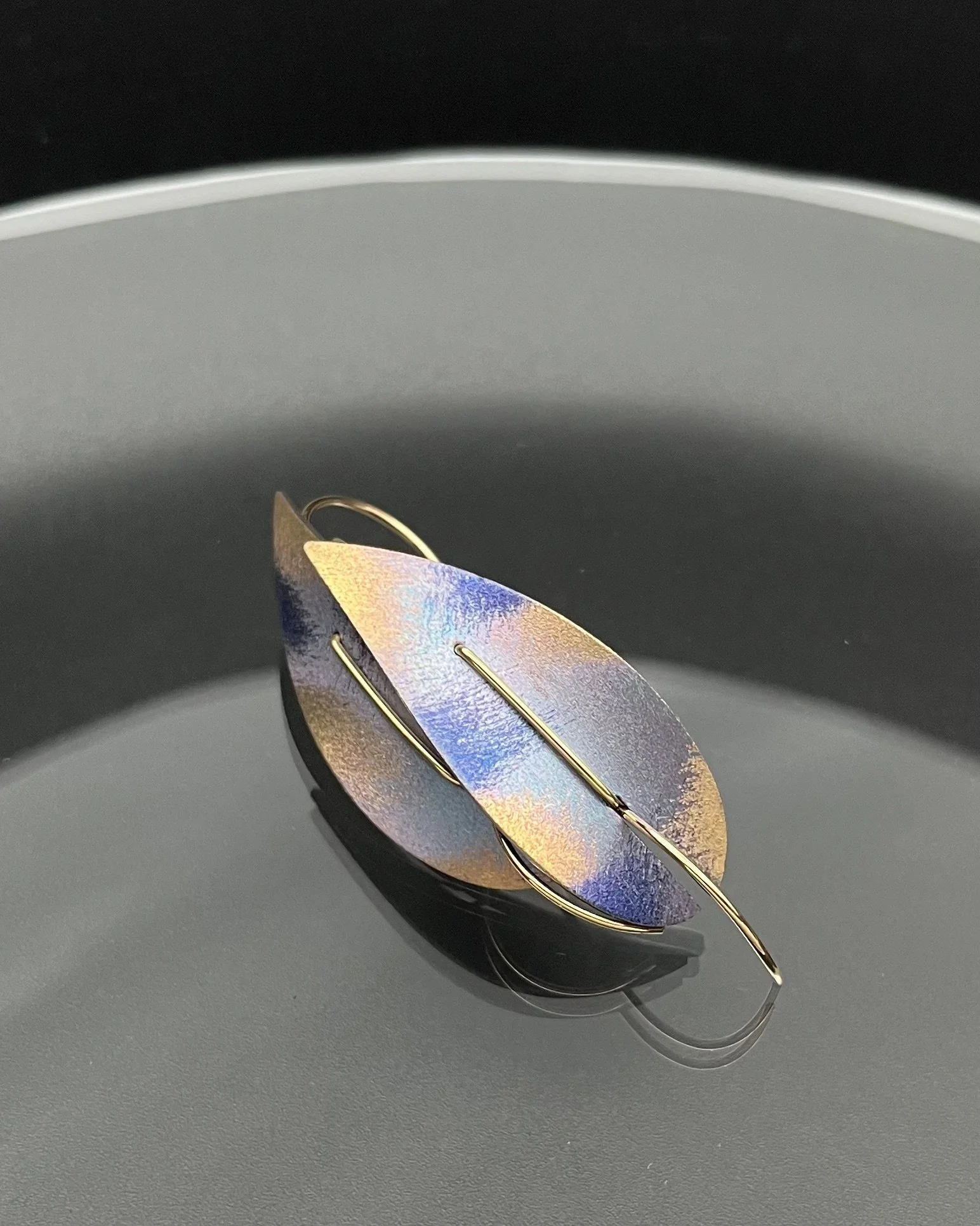 Titanium and gold earrings
